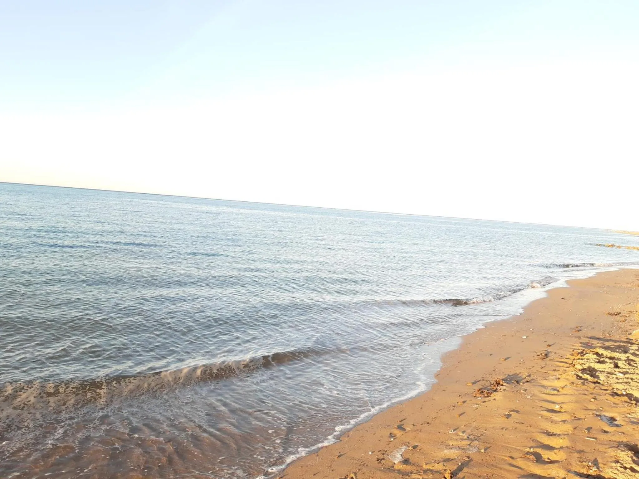 Beach in Apartamento Orange