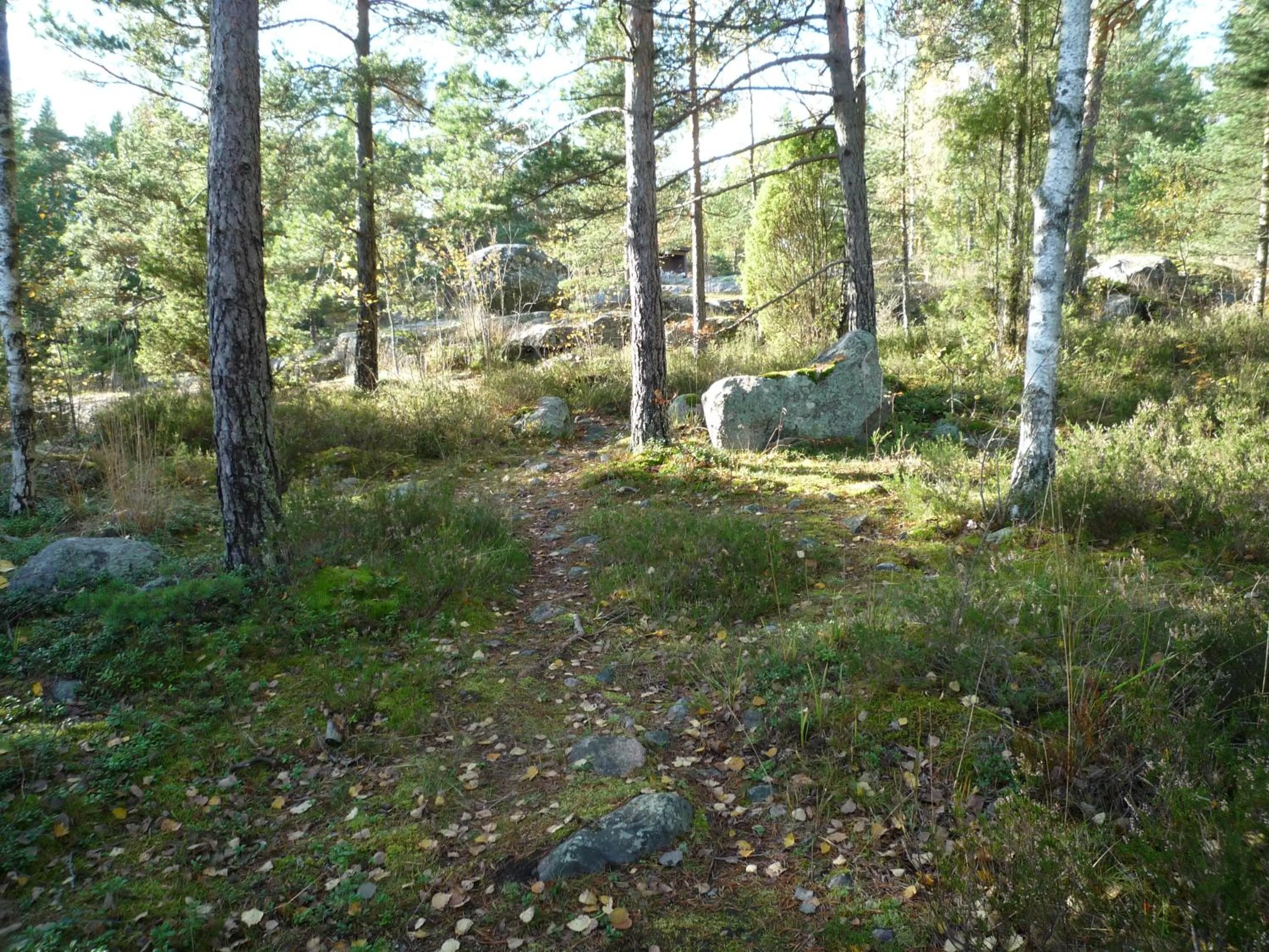 Natural landscape in Leena's B&B