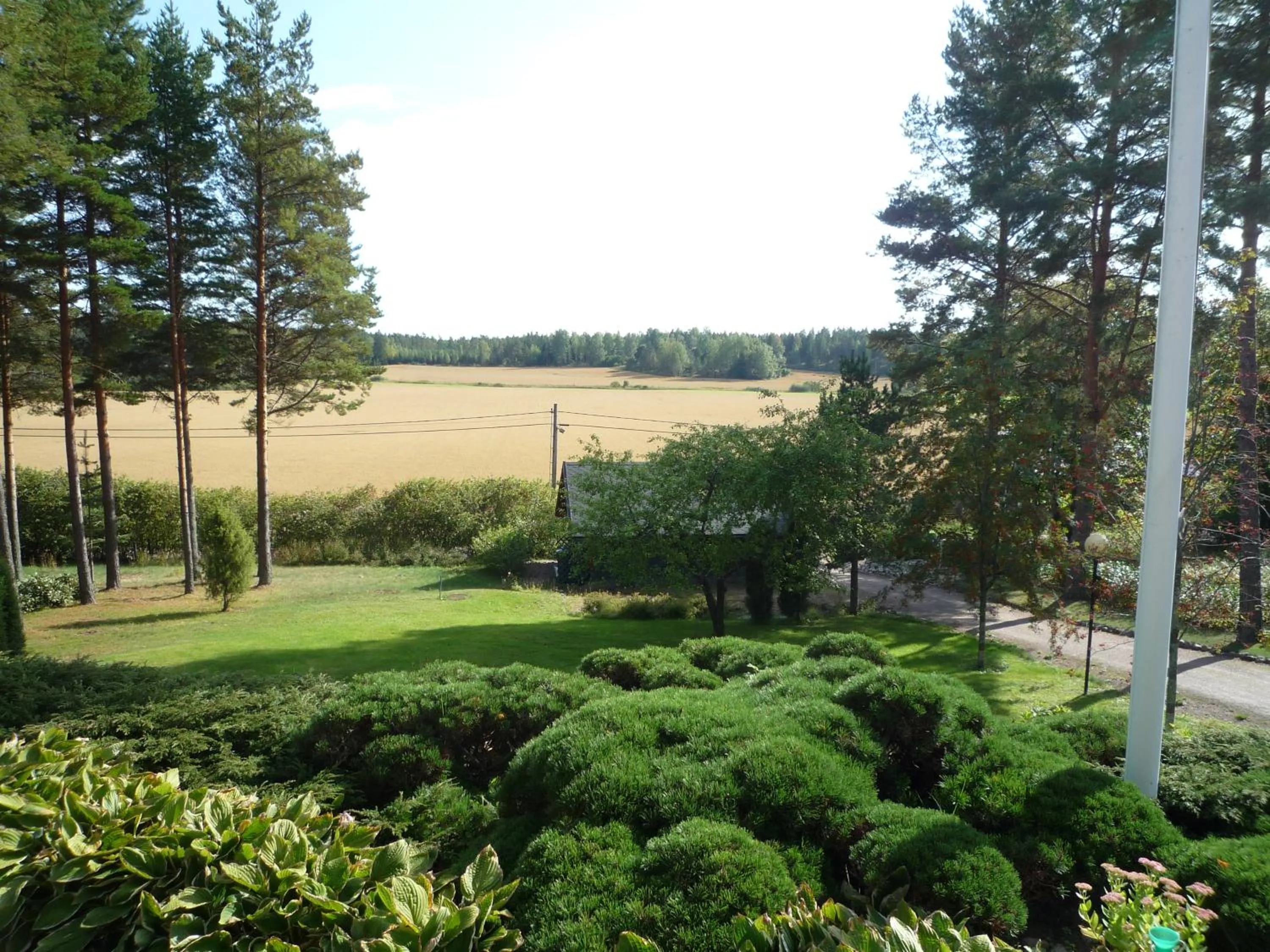 Garden view in Leena's B&B