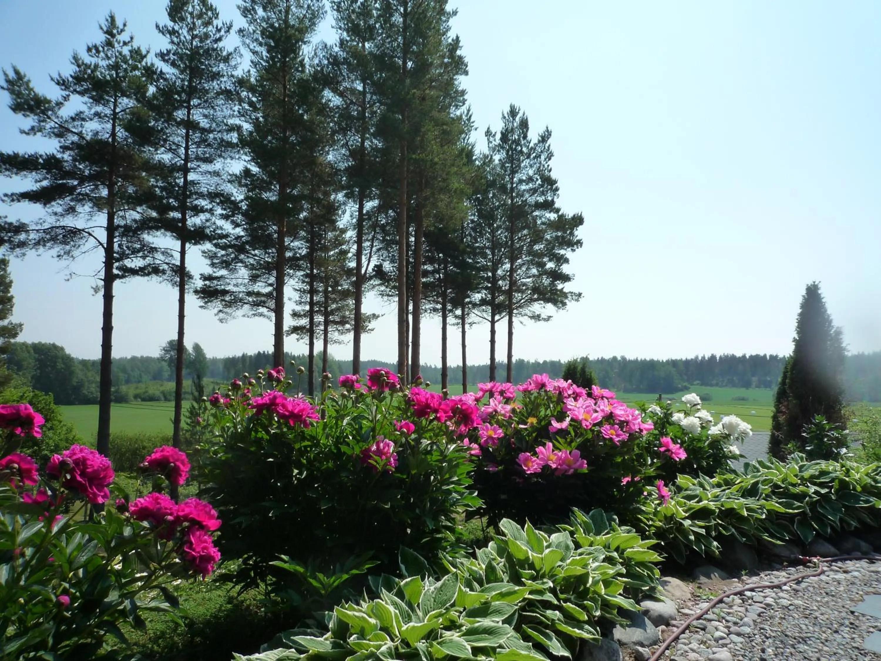 Garden in Leena's B&B
