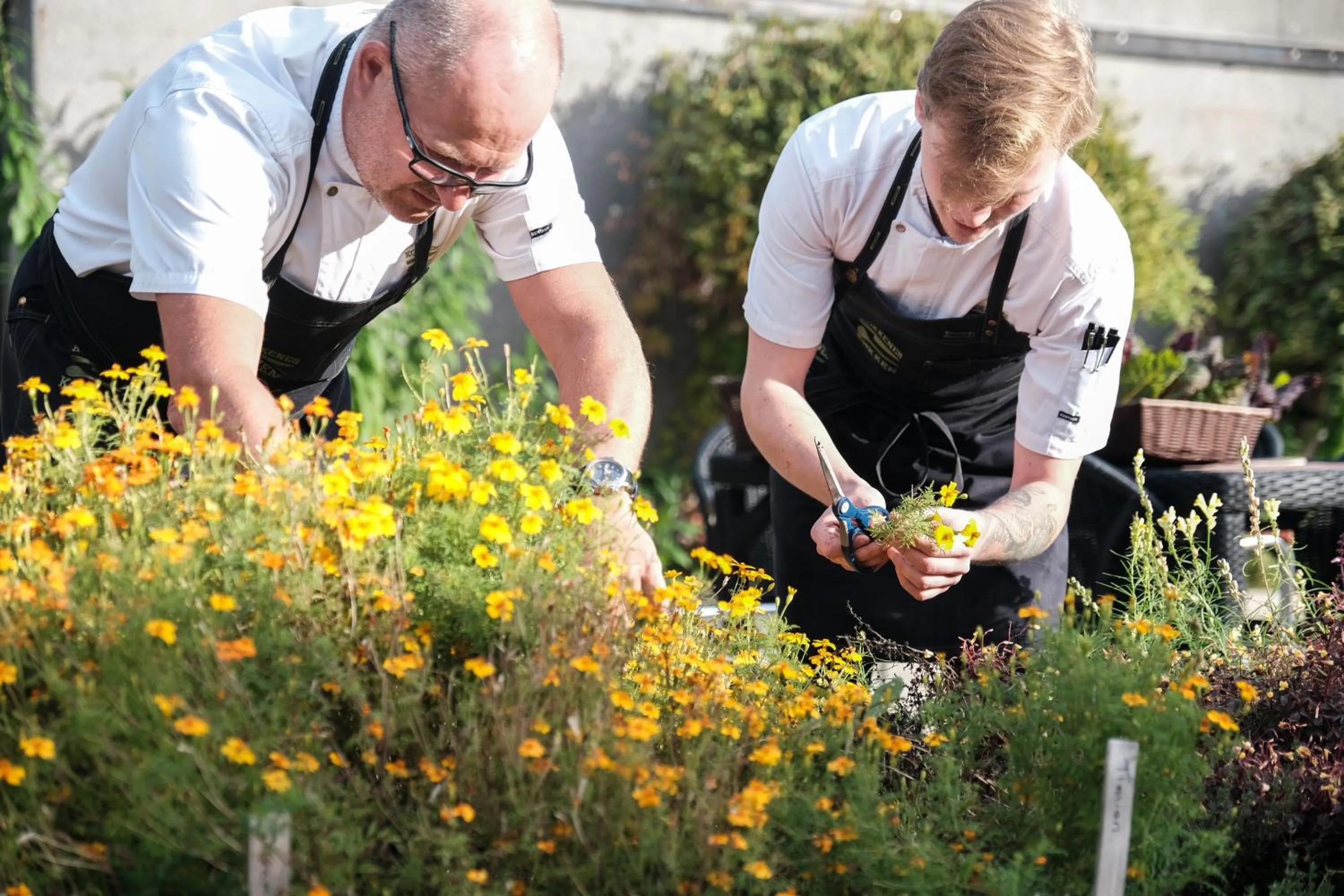 Garden in Idrættens Hus Hotel og Konference