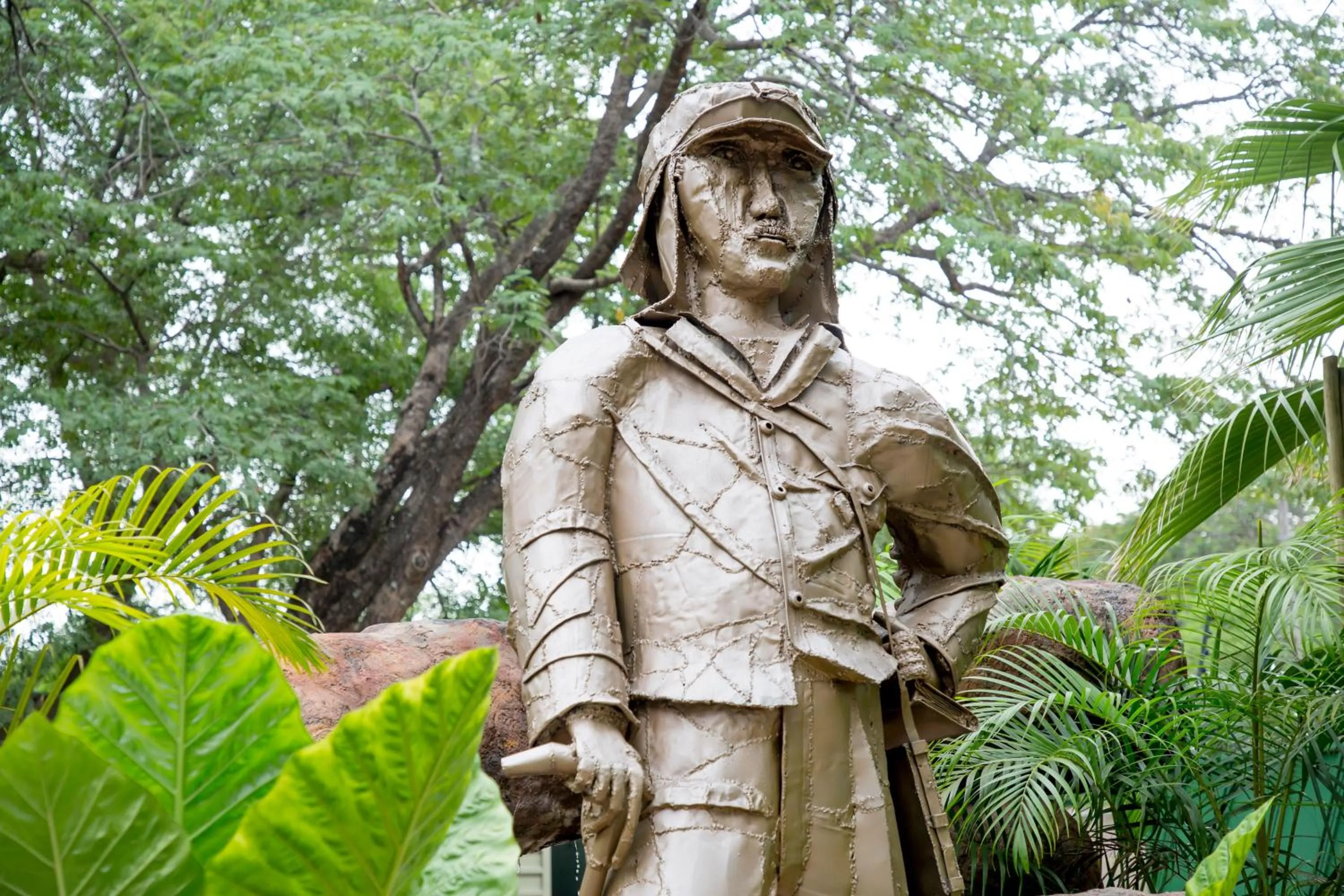 Garden in Livingstone Lodge