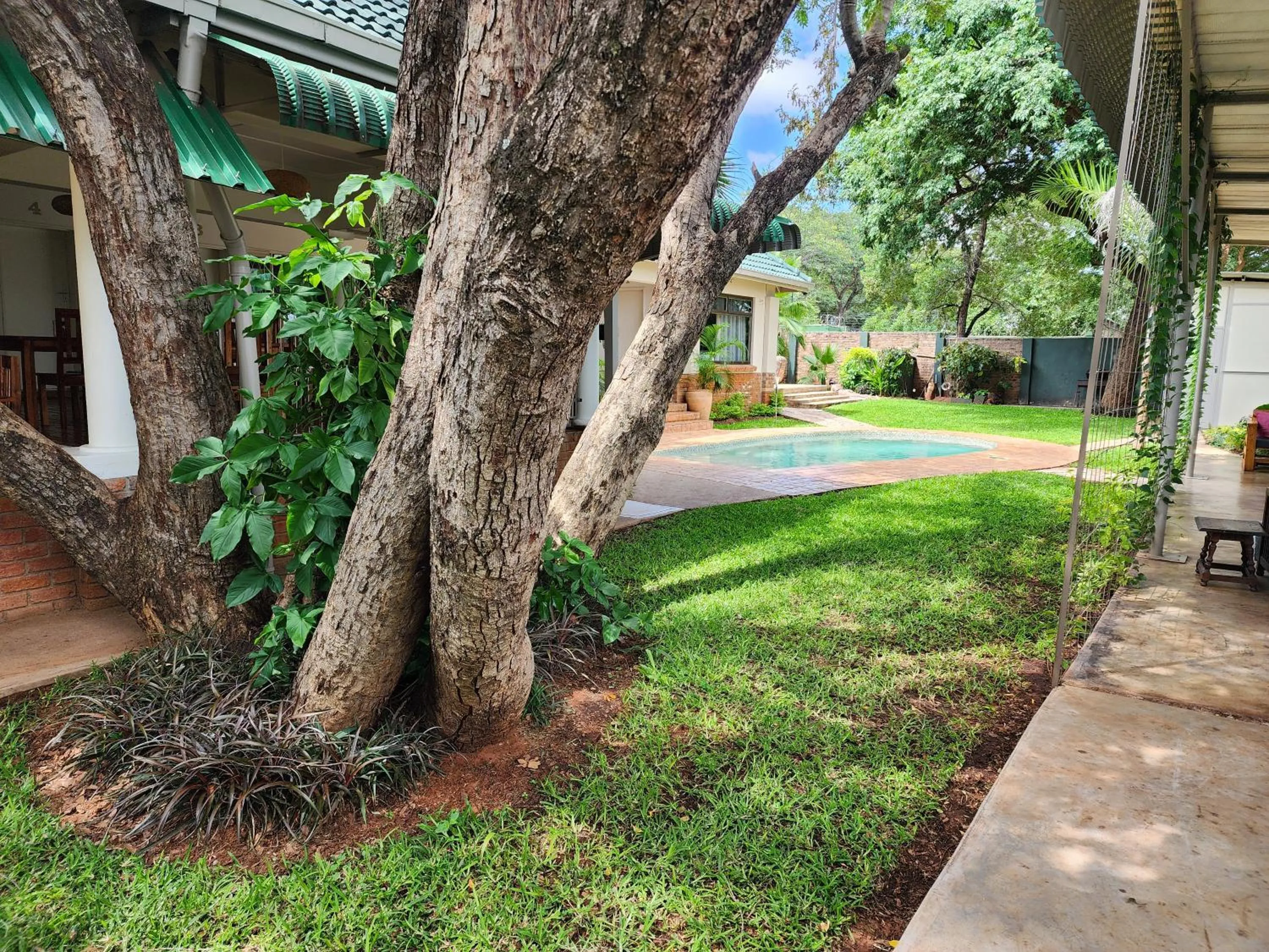 Garden in Livingstone Lodge