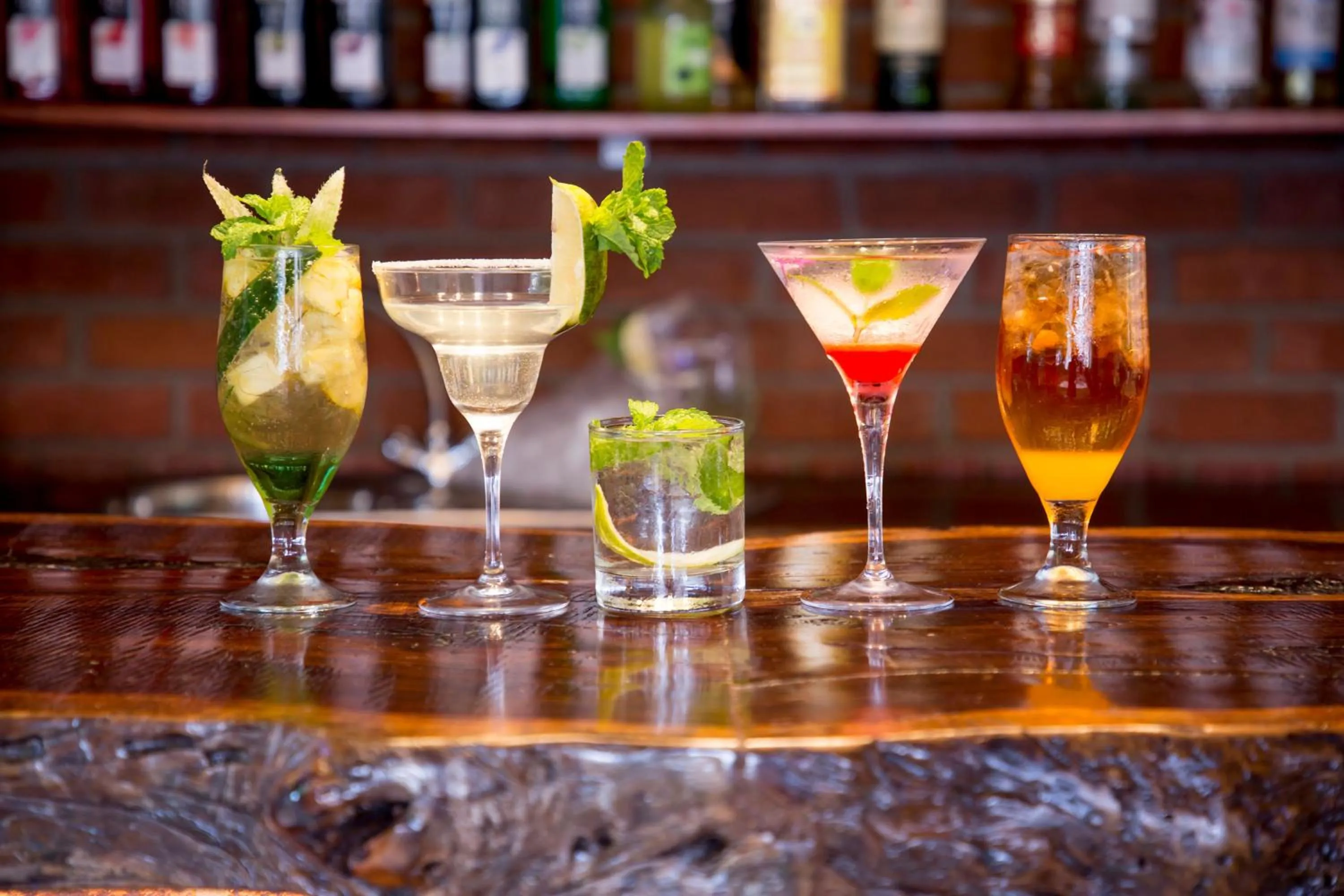 Lounge or bar in Livingstone Lodge