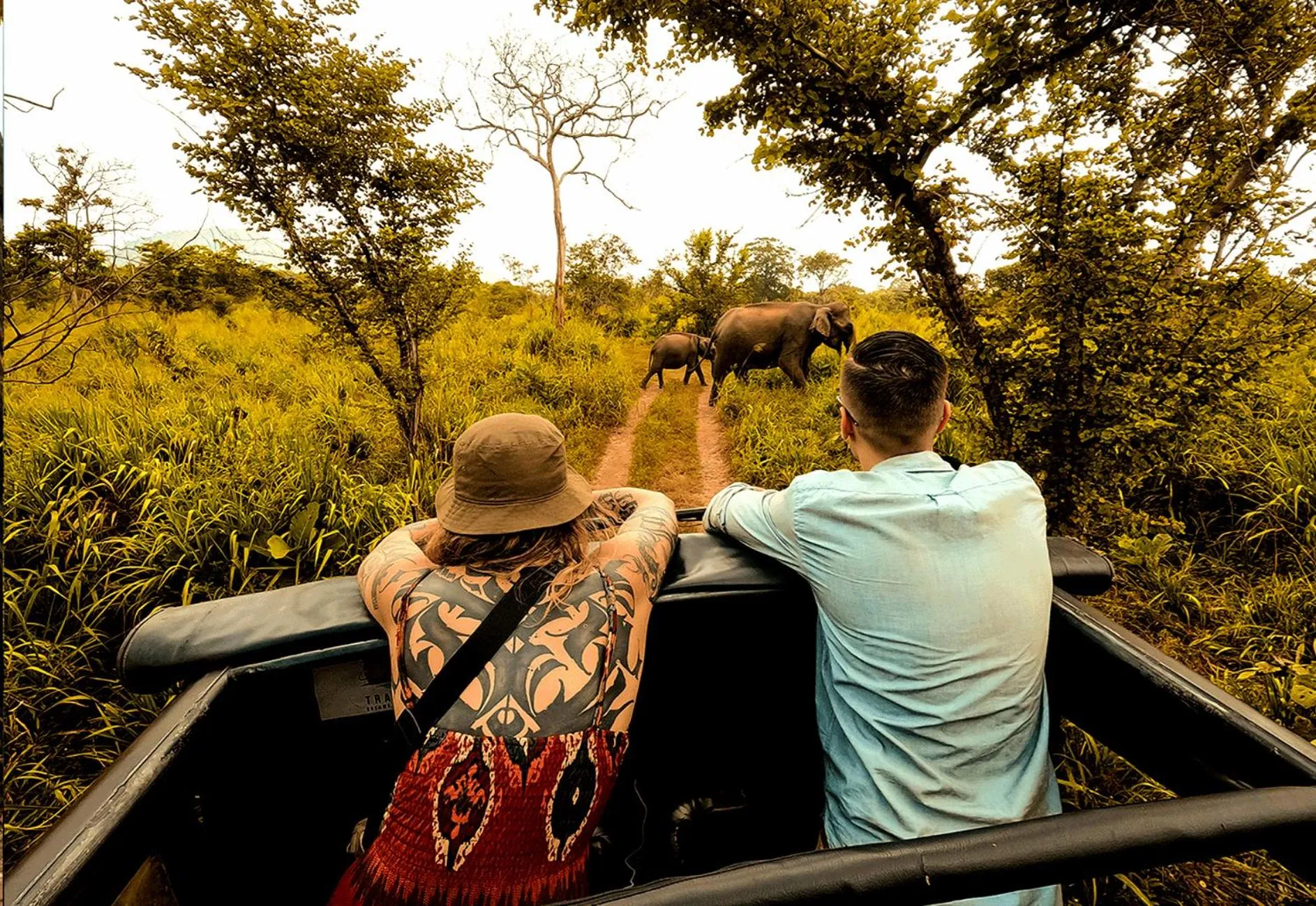 Natural landscape in Lakmal Resort Sigiriya