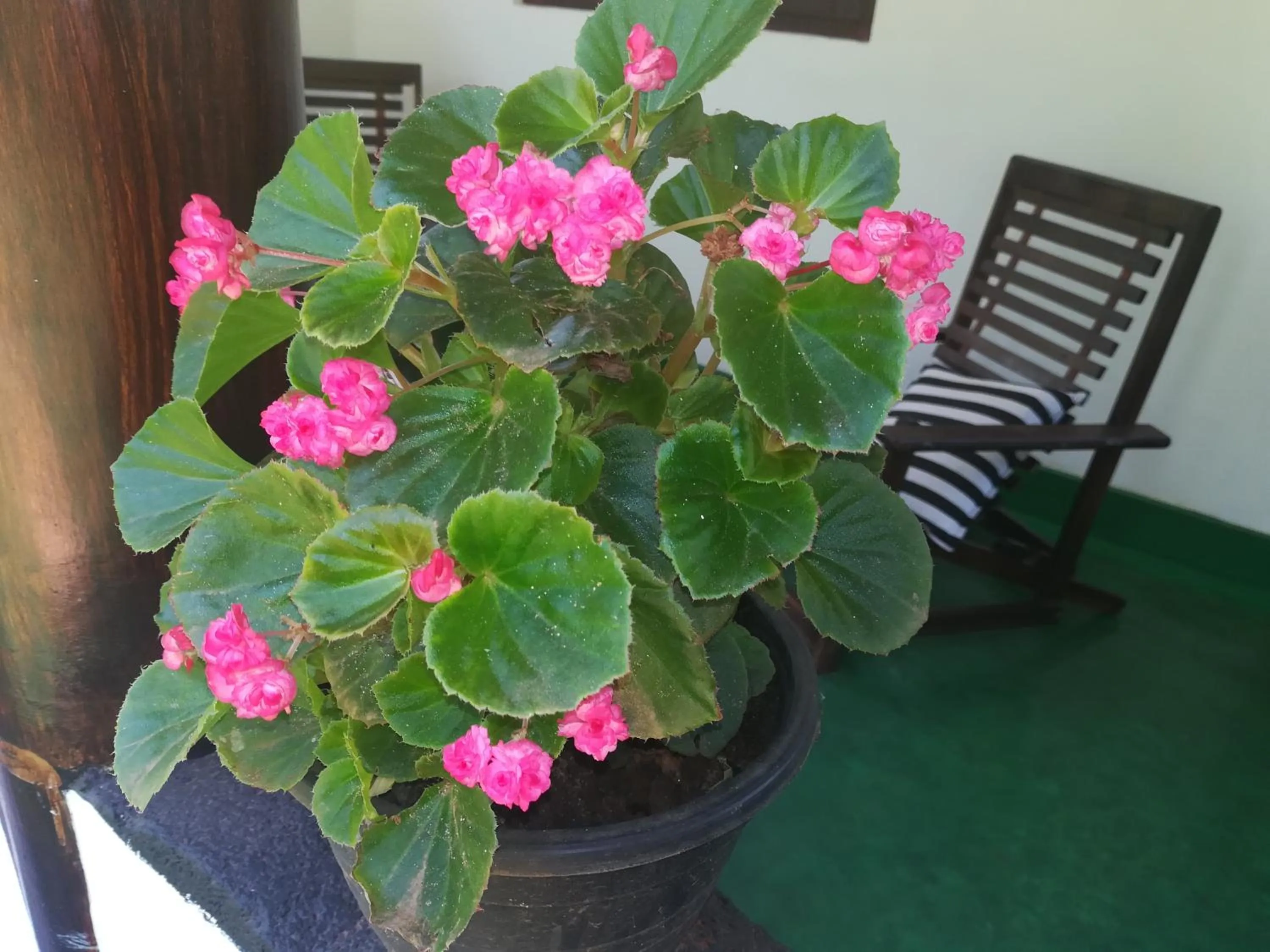 Facade/entrance in Lakmal Resort Sigiriya