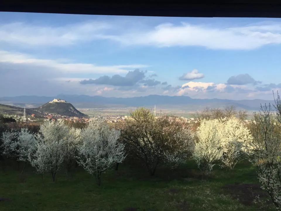 Property building in Hanu lu Mos Opinca