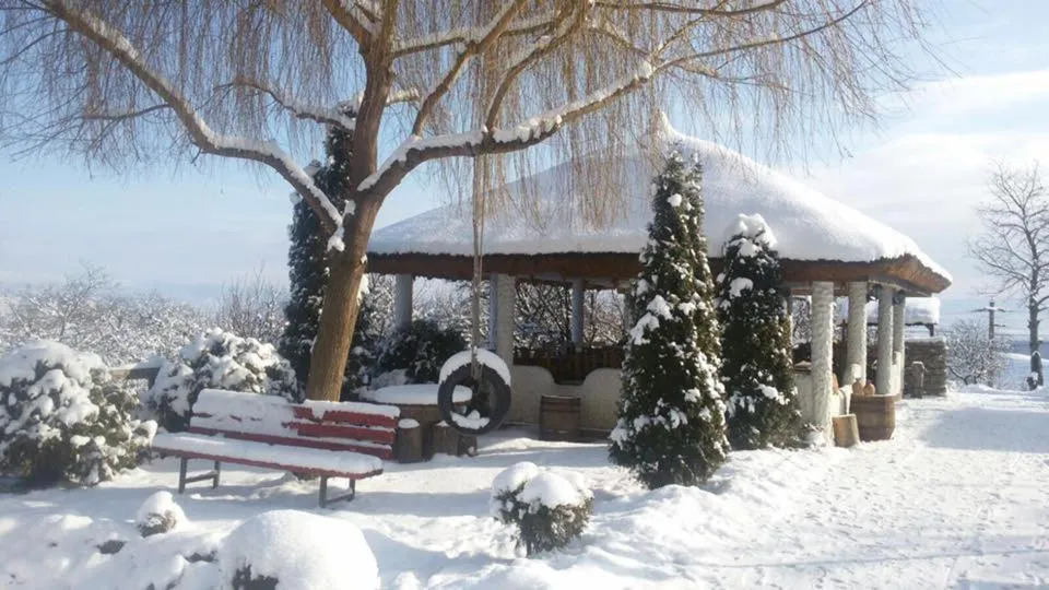 Property building in Hanu lu Mos Opinca