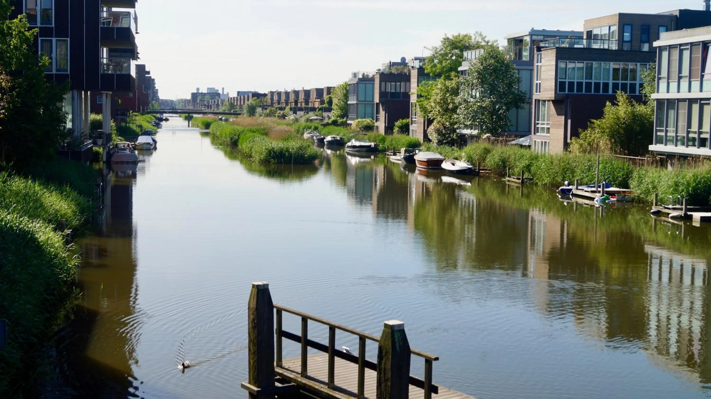 Neighbourhood in Room With A Few