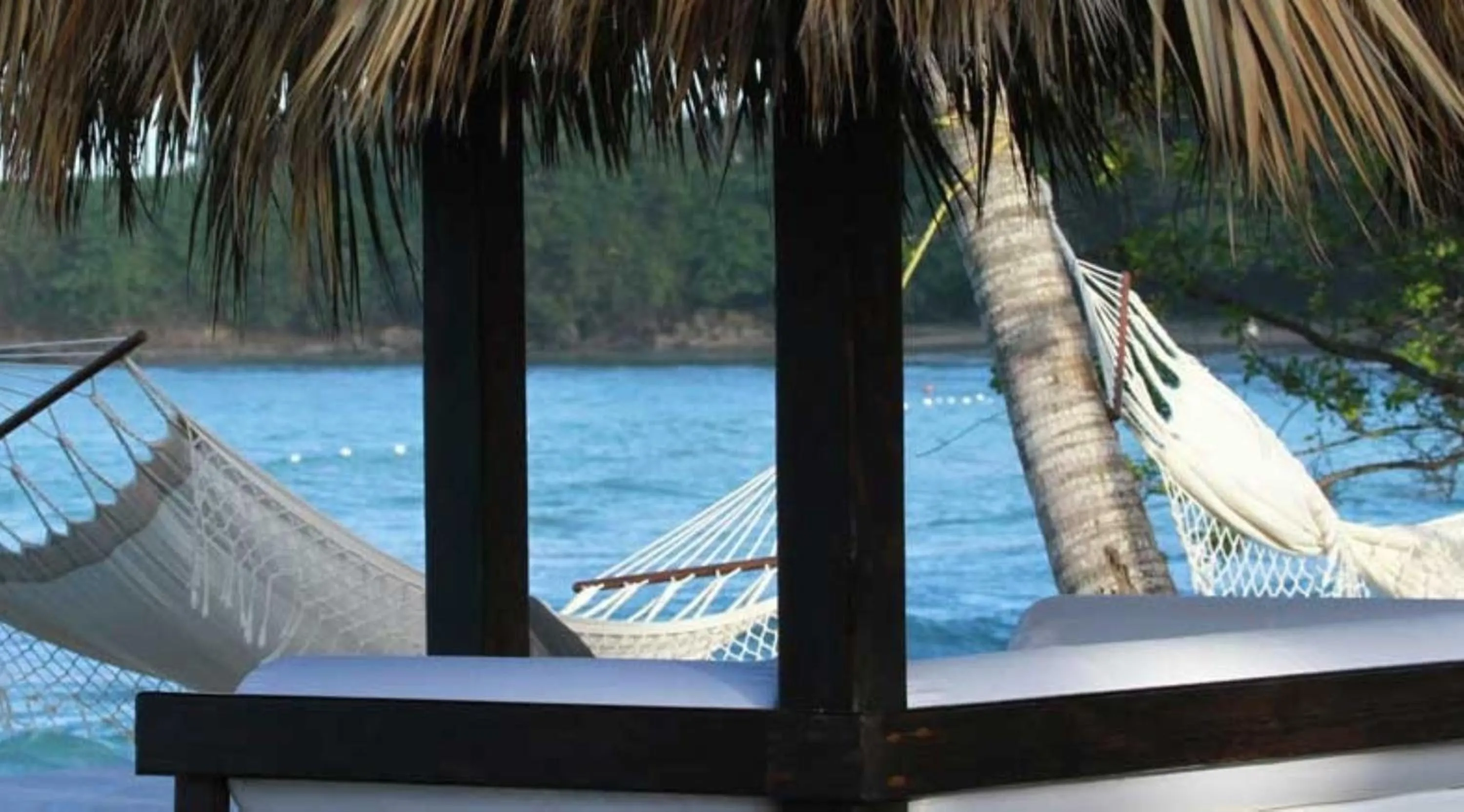 Beach in Cofresi Palm Beach & Spa Resort - All Inclusive