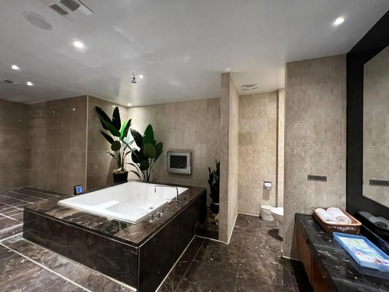 Bathroom, Bed in Aquarius Motel