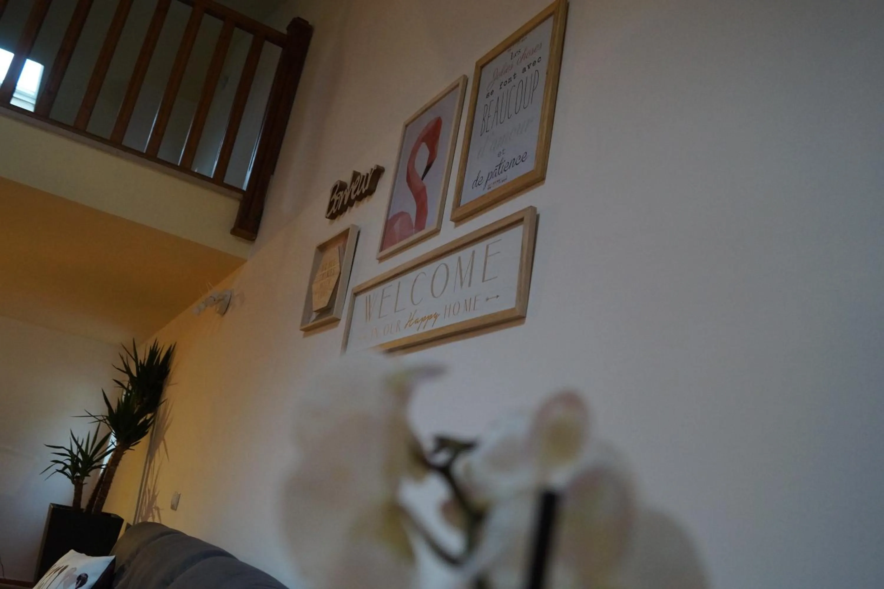 Communal lounge/ TV room in Bonjour Bonheur