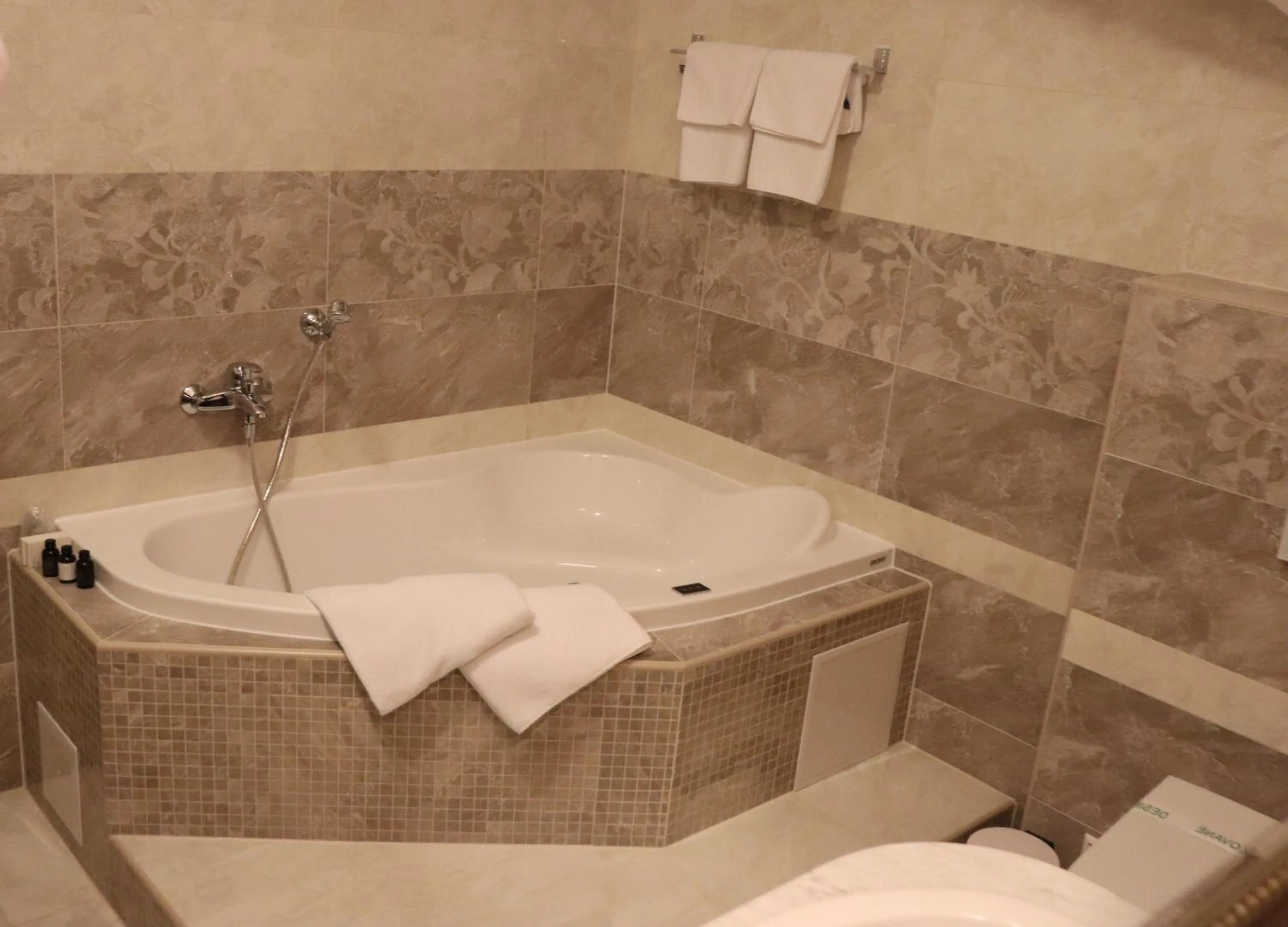 Bathroom in Hotel Viliam Frano