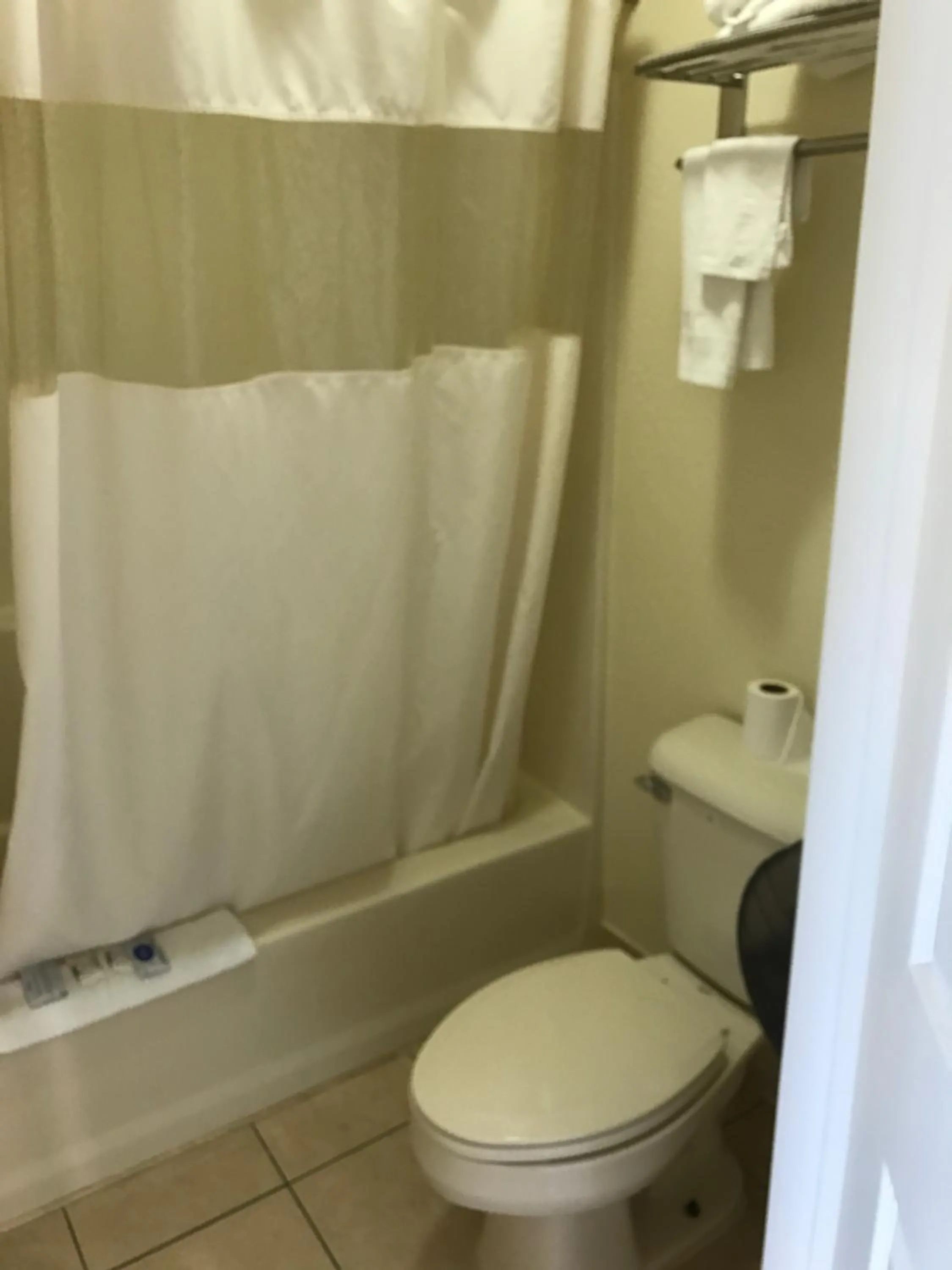 Bathroom in Crystal Inn and Suites