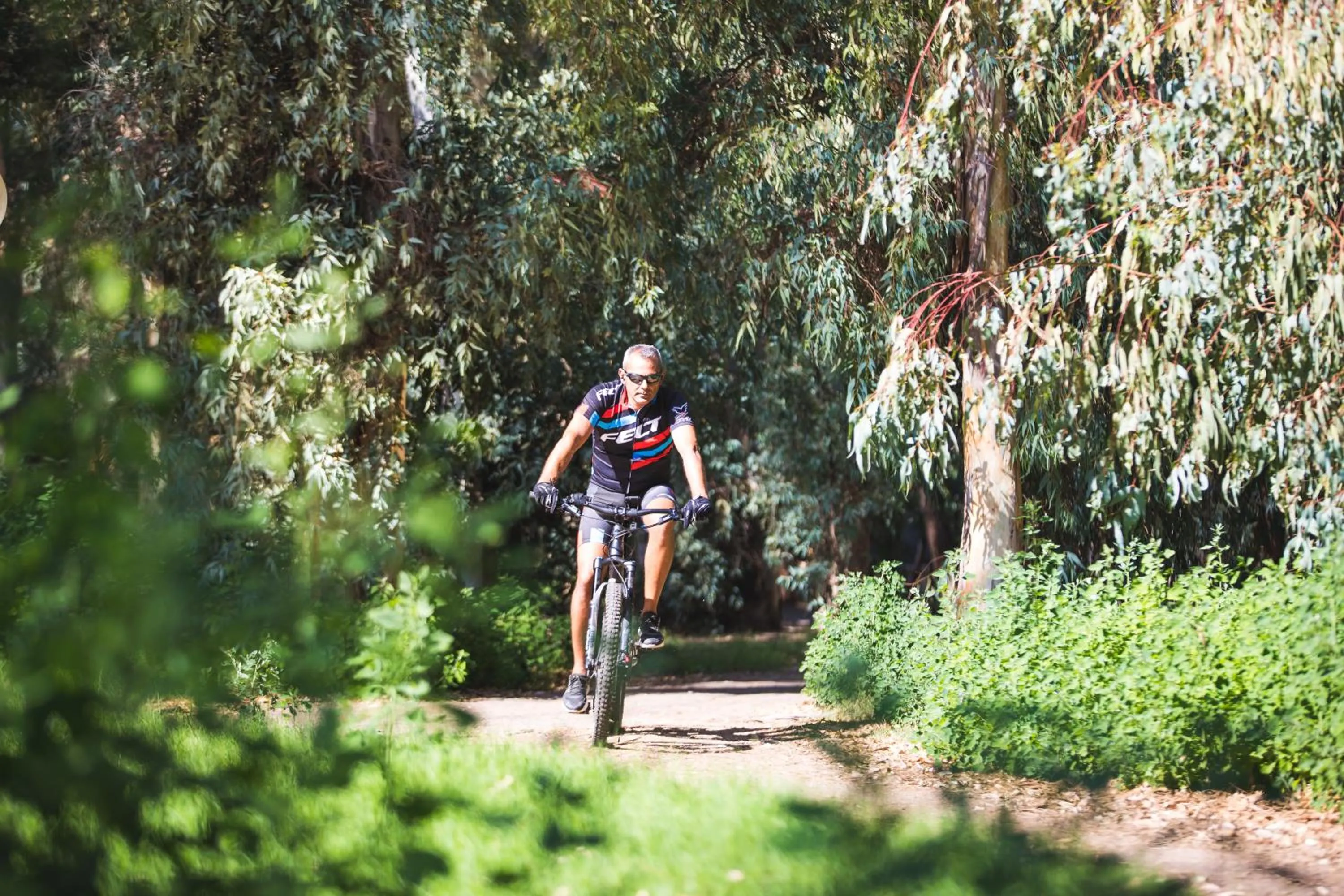 Cycling in Hotel Flamingo