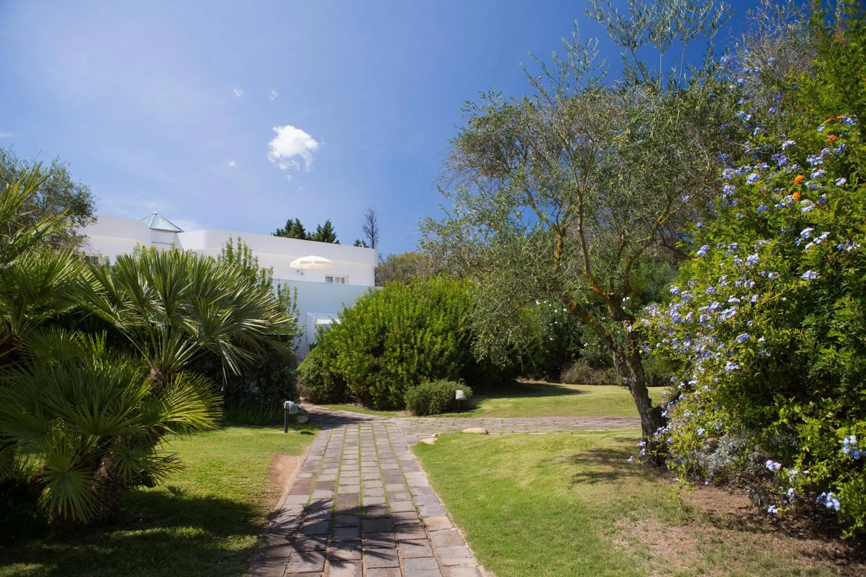 Garden in Hotel Flamingo