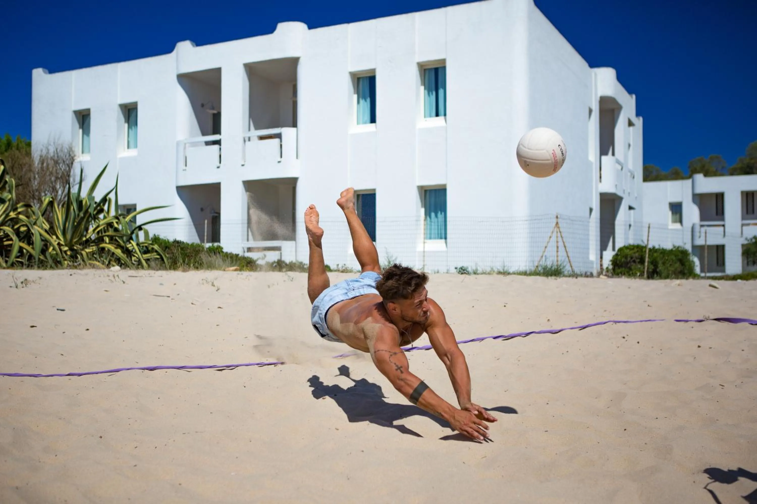 Animals in Hotel Flamingo