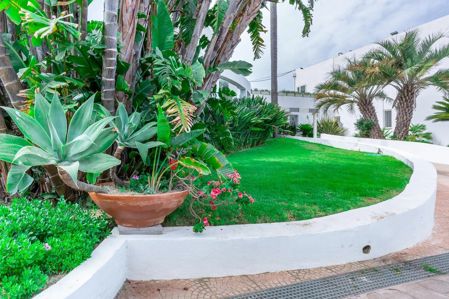 Garden in Hotel Flamingo