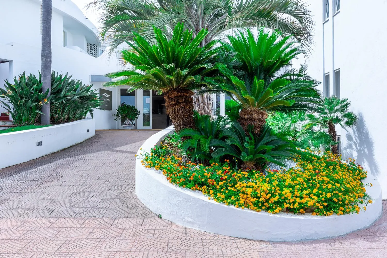 Garden in Hotel Flamingo