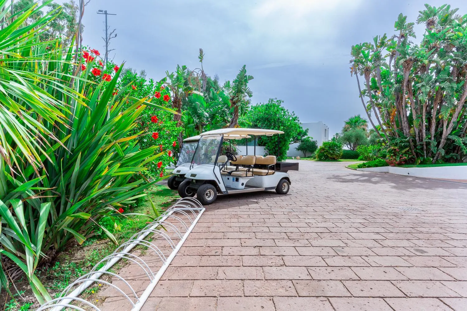 Garden in Hotel Flamingo