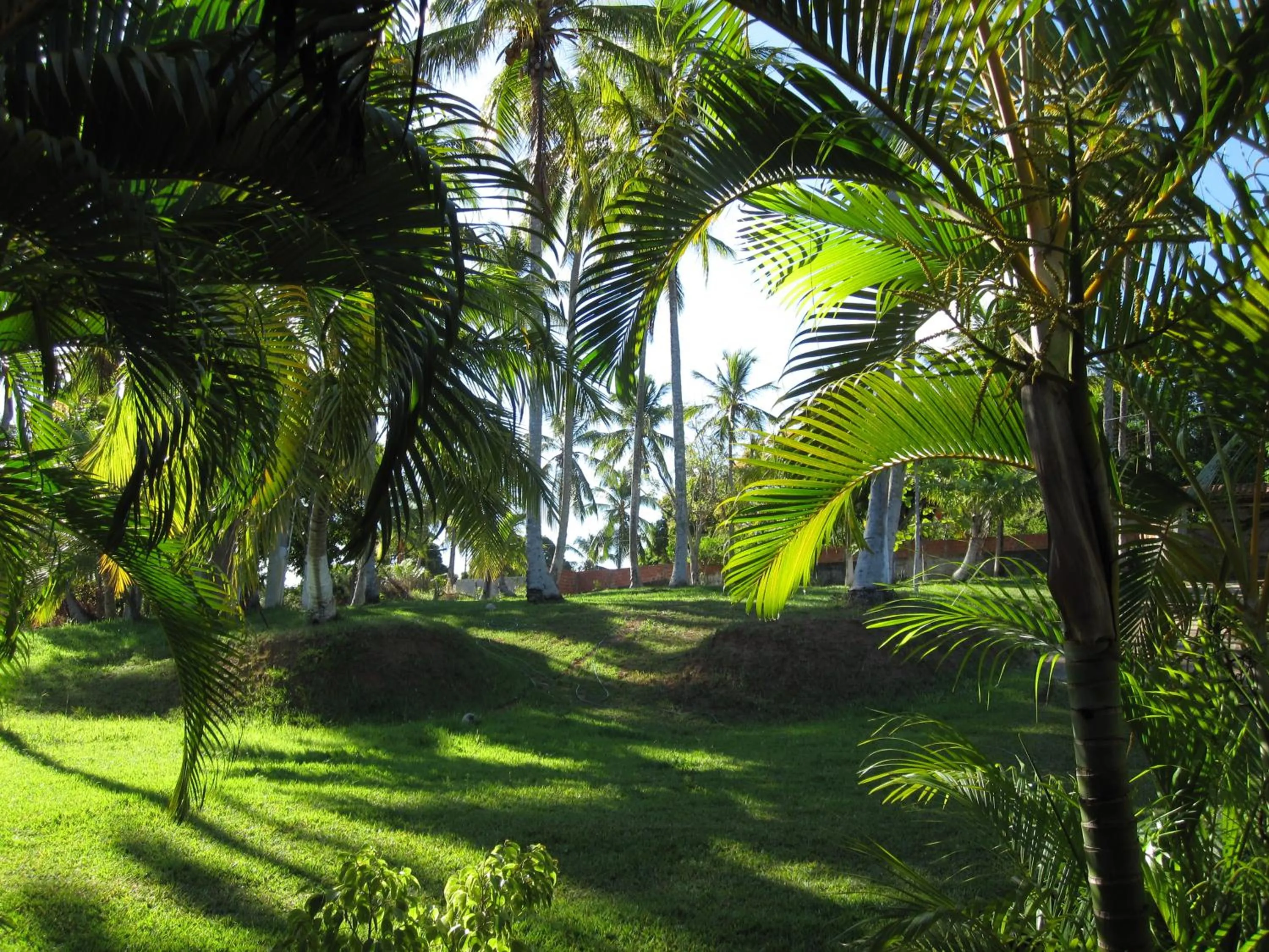 Garden view in Sitio Os Tres