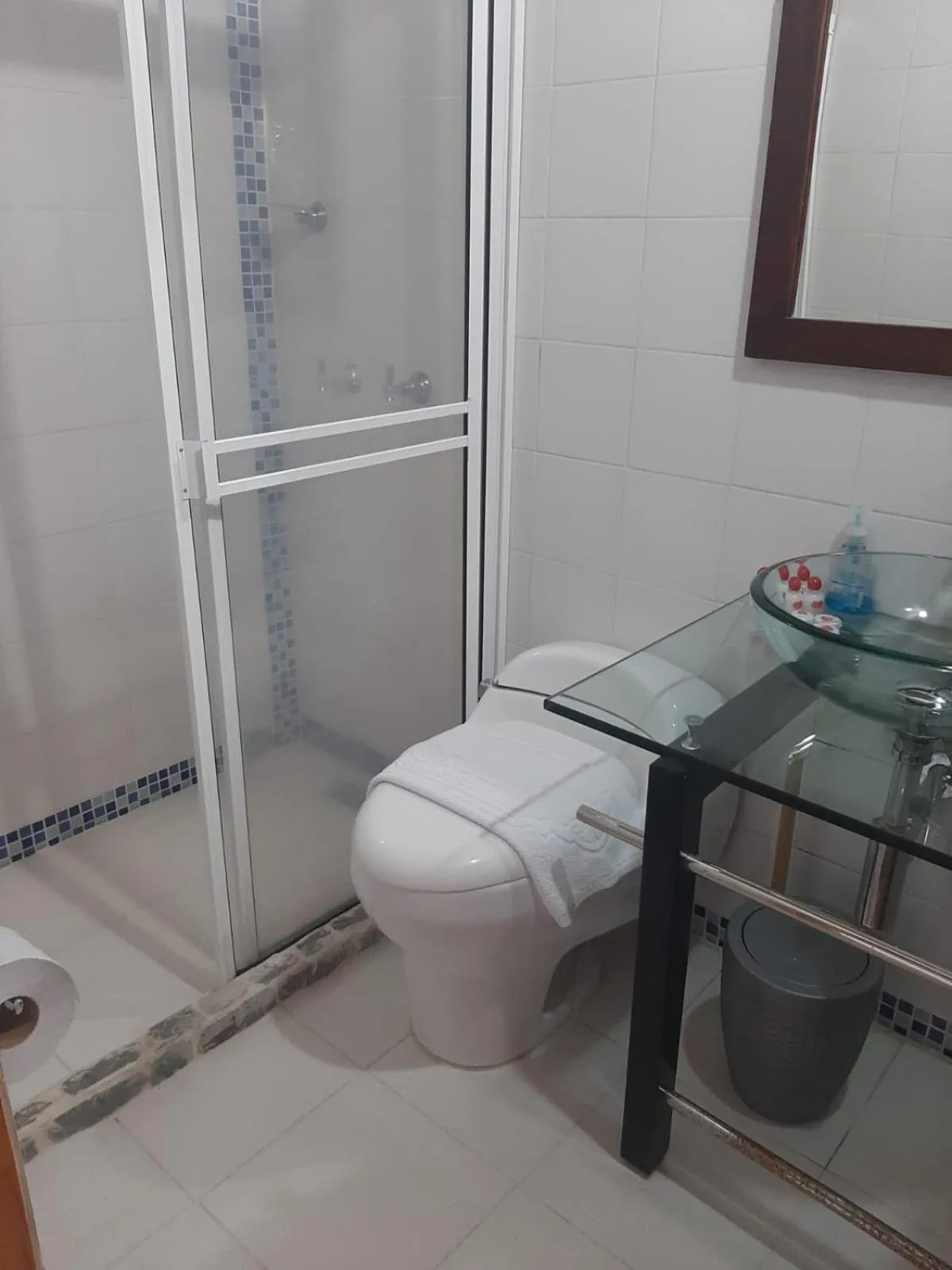 Bathroom in Hotel Zocalo Campestre