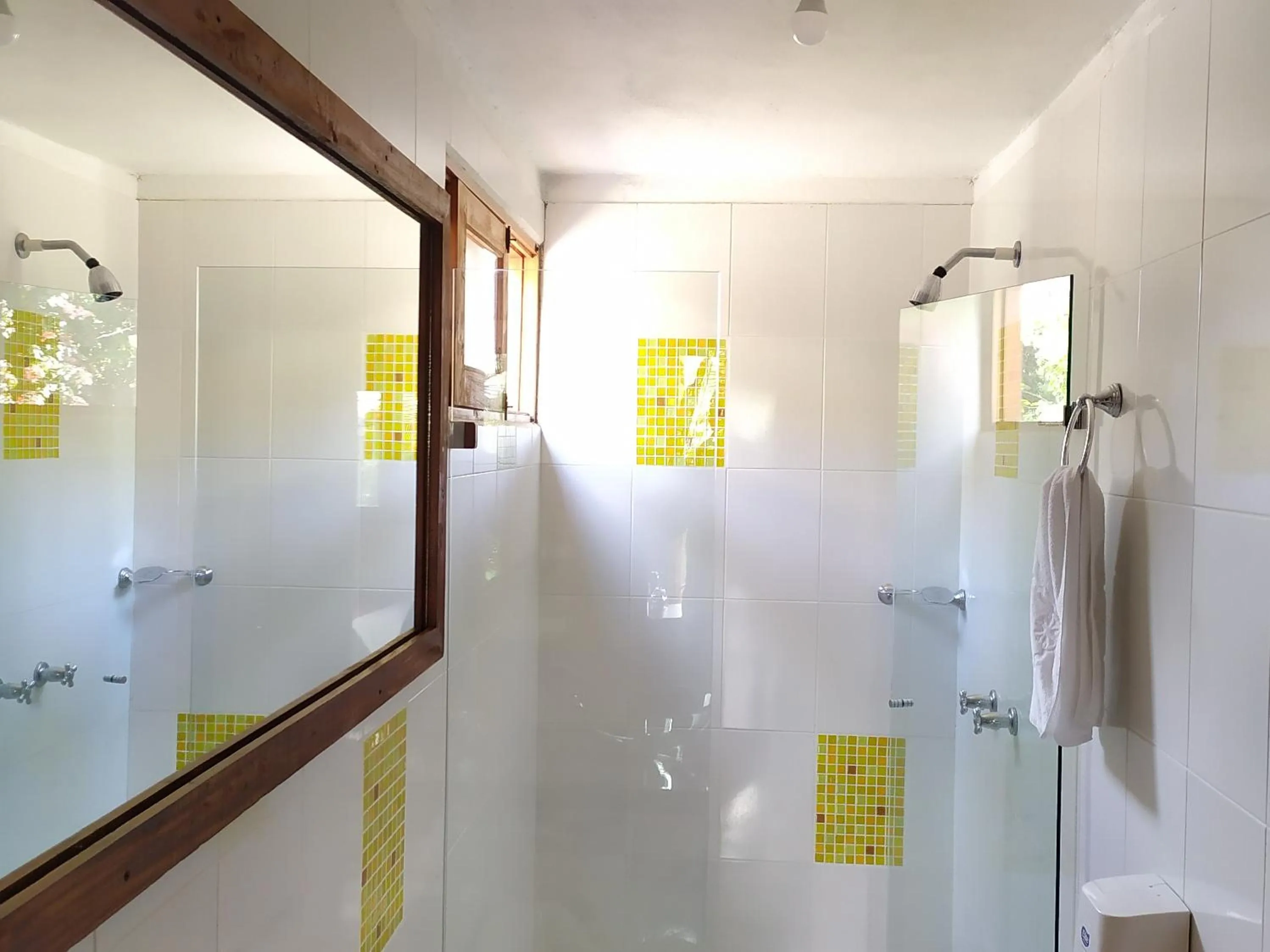 Shower in Hotel Zocalo Campestre