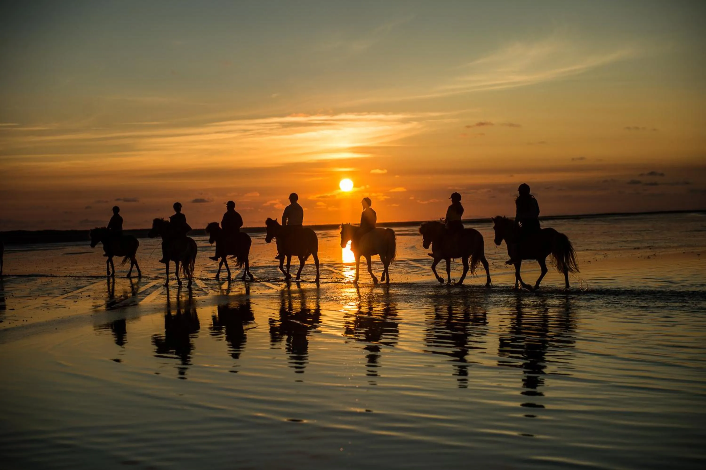 Horse-riding in Hotel Kommandørgården
