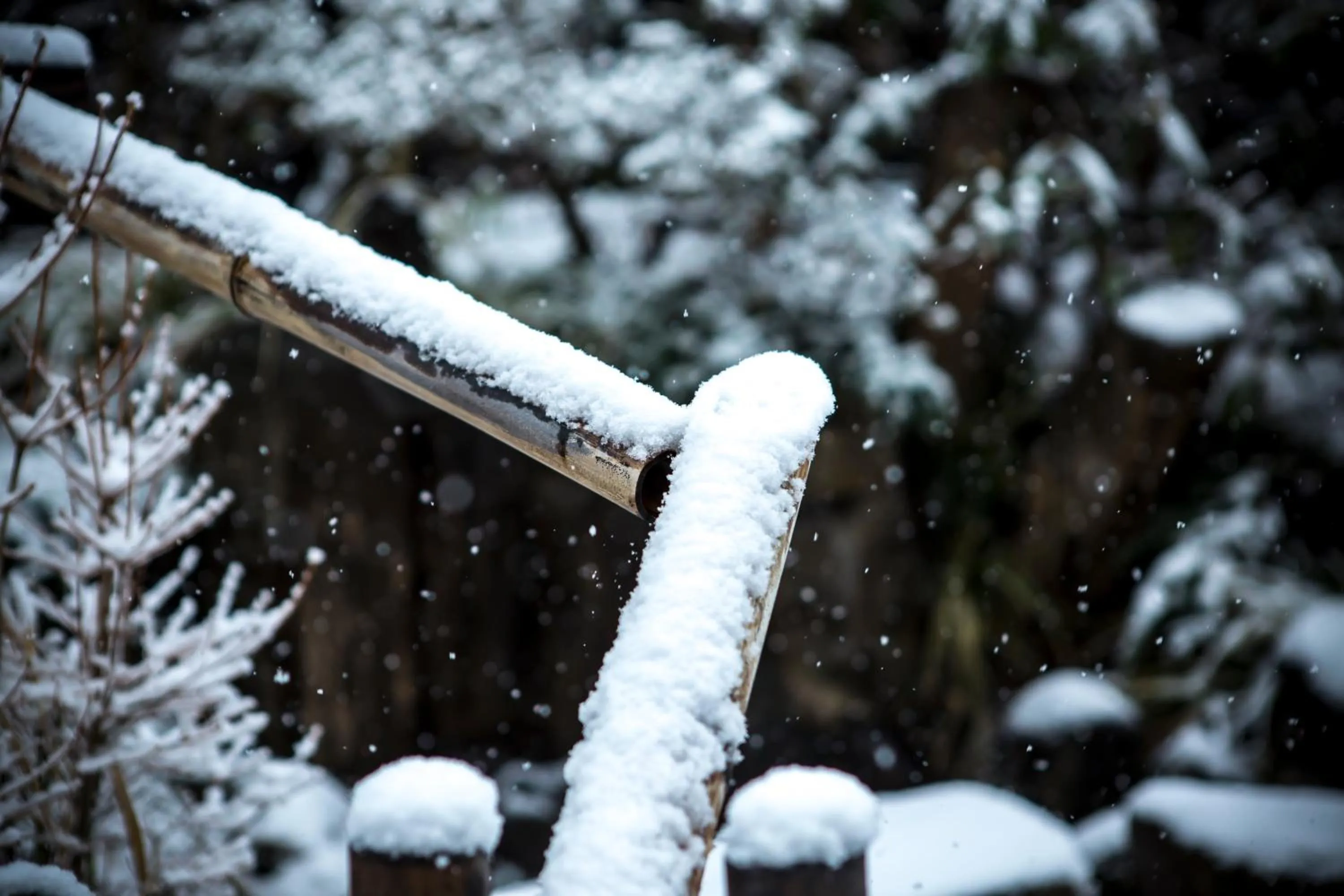 Winter in Sui Suwako