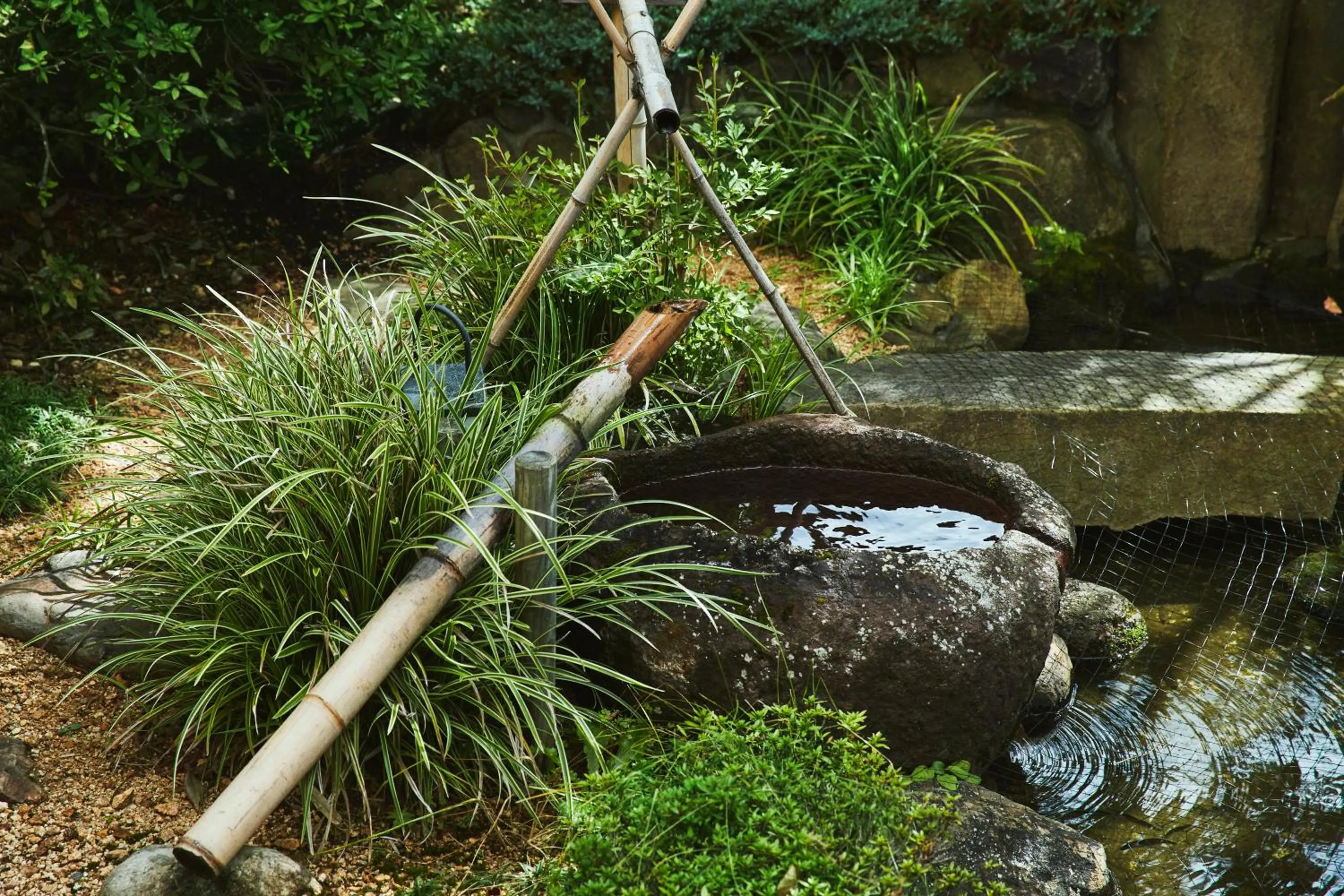 Summer in Sui Suwako