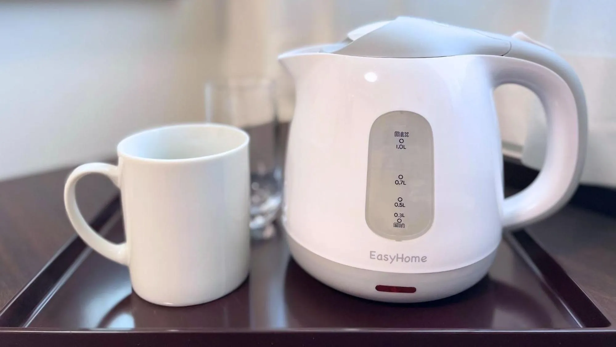 Area and facilities in Hotel Aston Plaza Kansai Airport