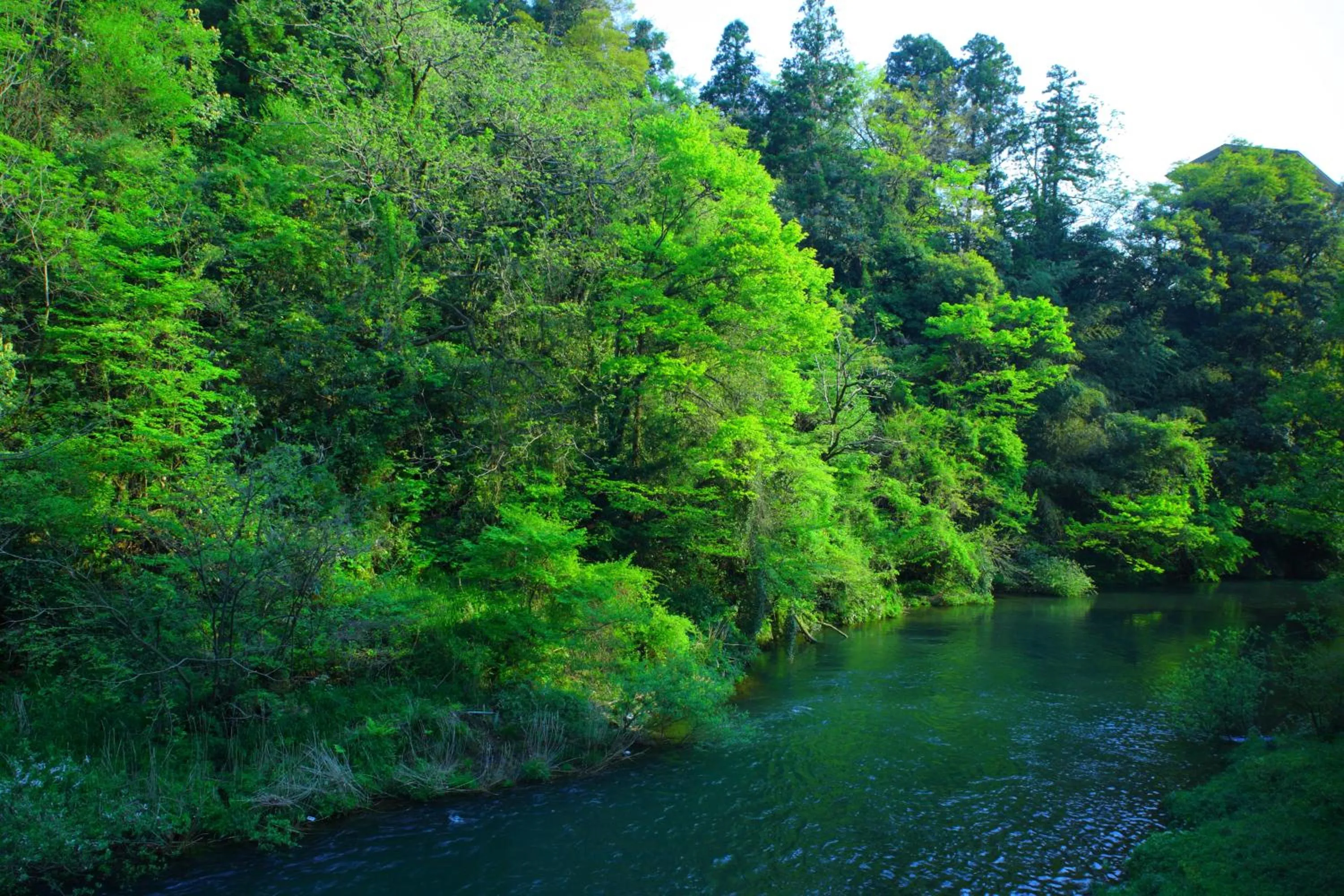 Natural landscape in Yamanakaonsen Ohanami Kyubei