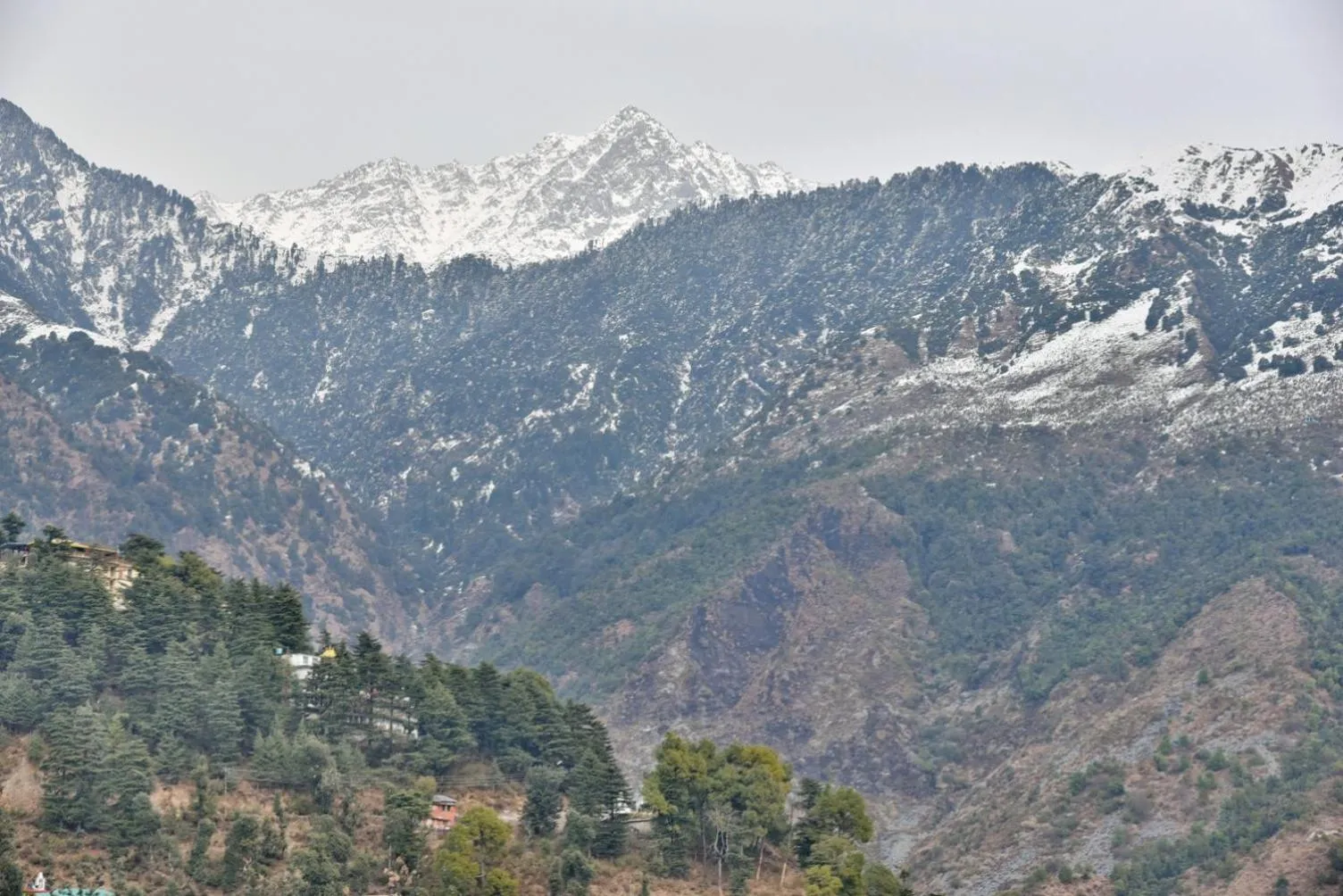 Hotel Akash - Luxury Hotel In McLeodganj