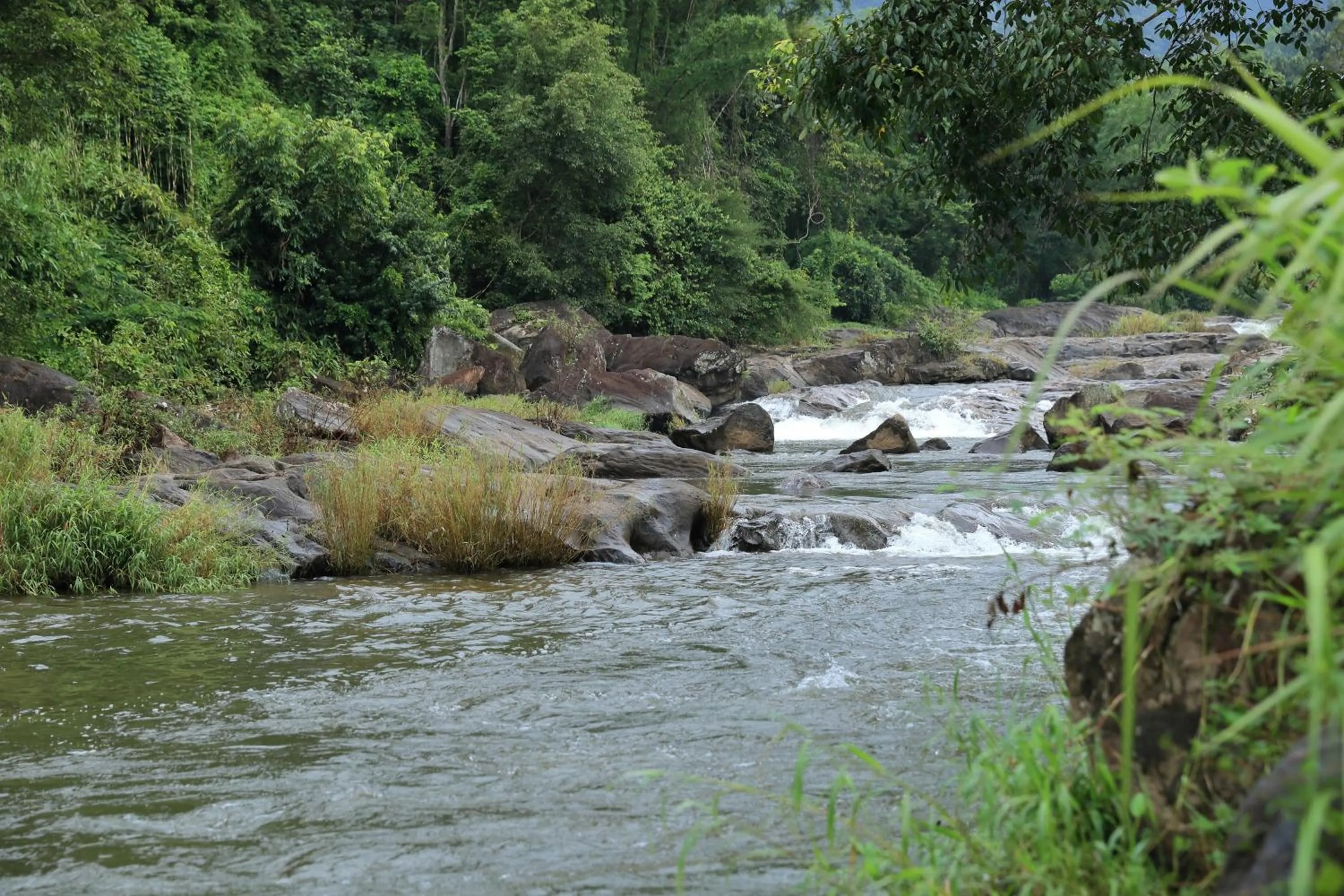 River view in Ayursakthi Riverdale