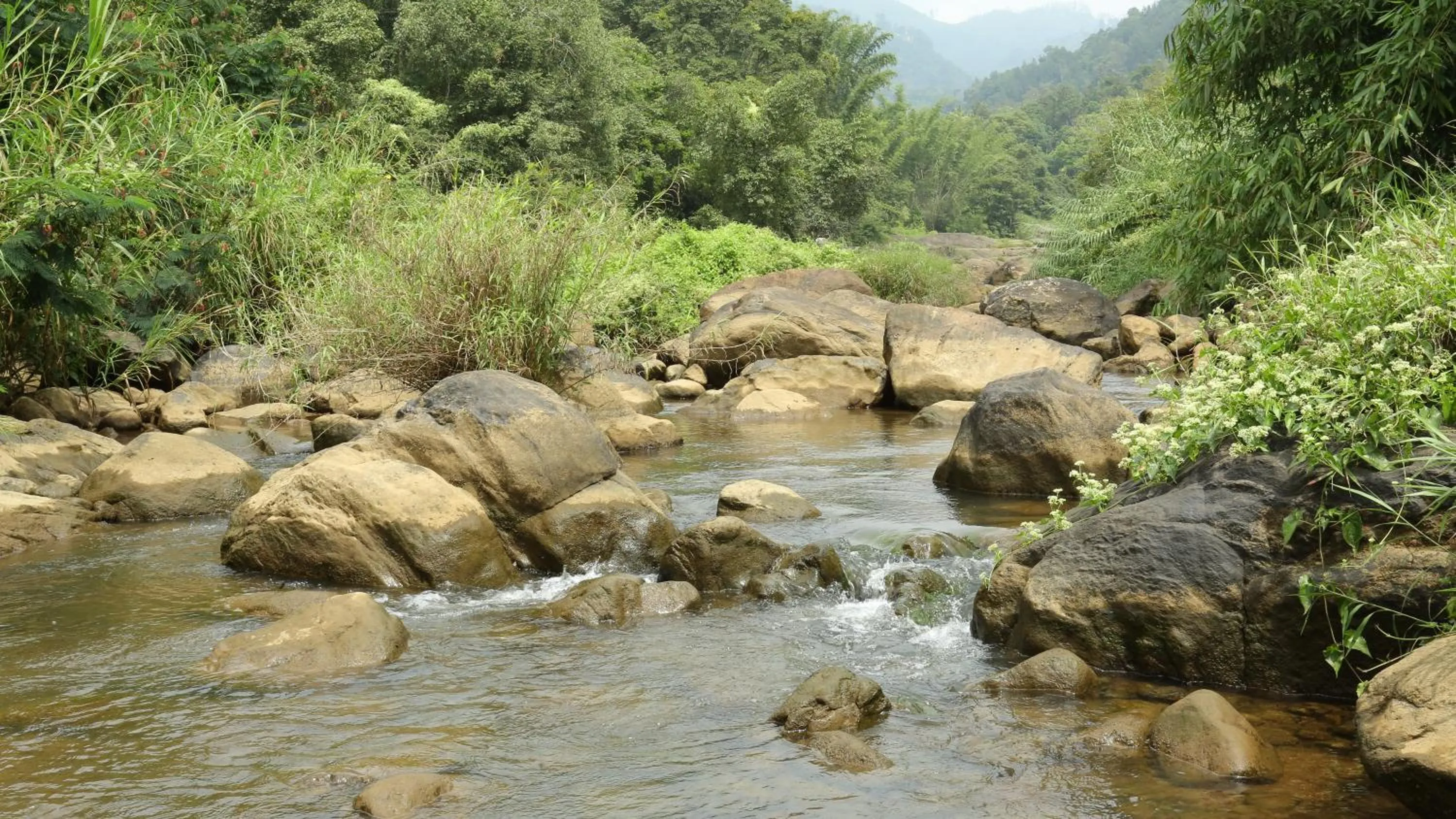 River view in Ayursakthi Riverdale