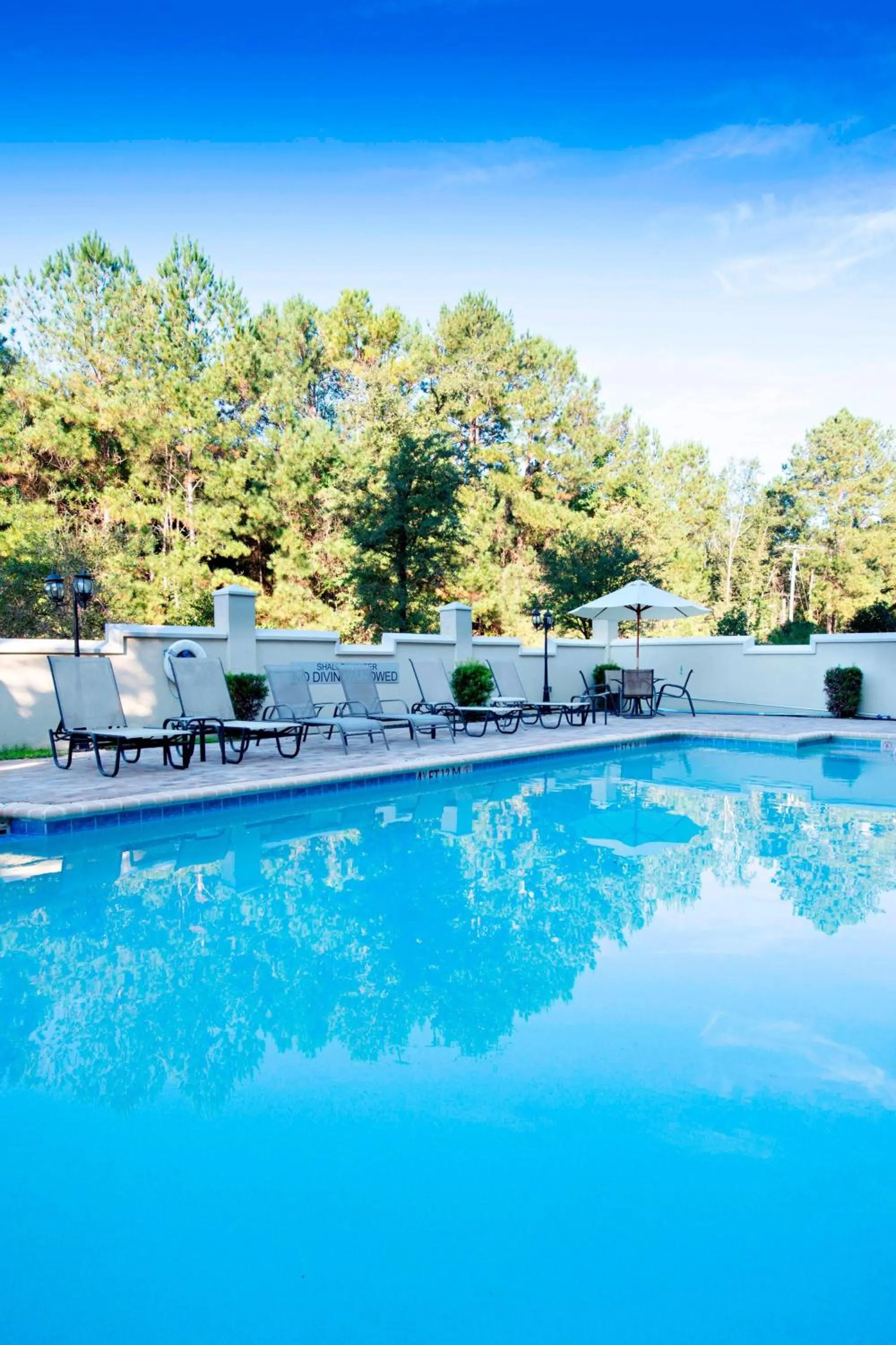 Swimming pool in Fairfield Inn & Suites by Marriott Charleston North/Ashley Phosphate