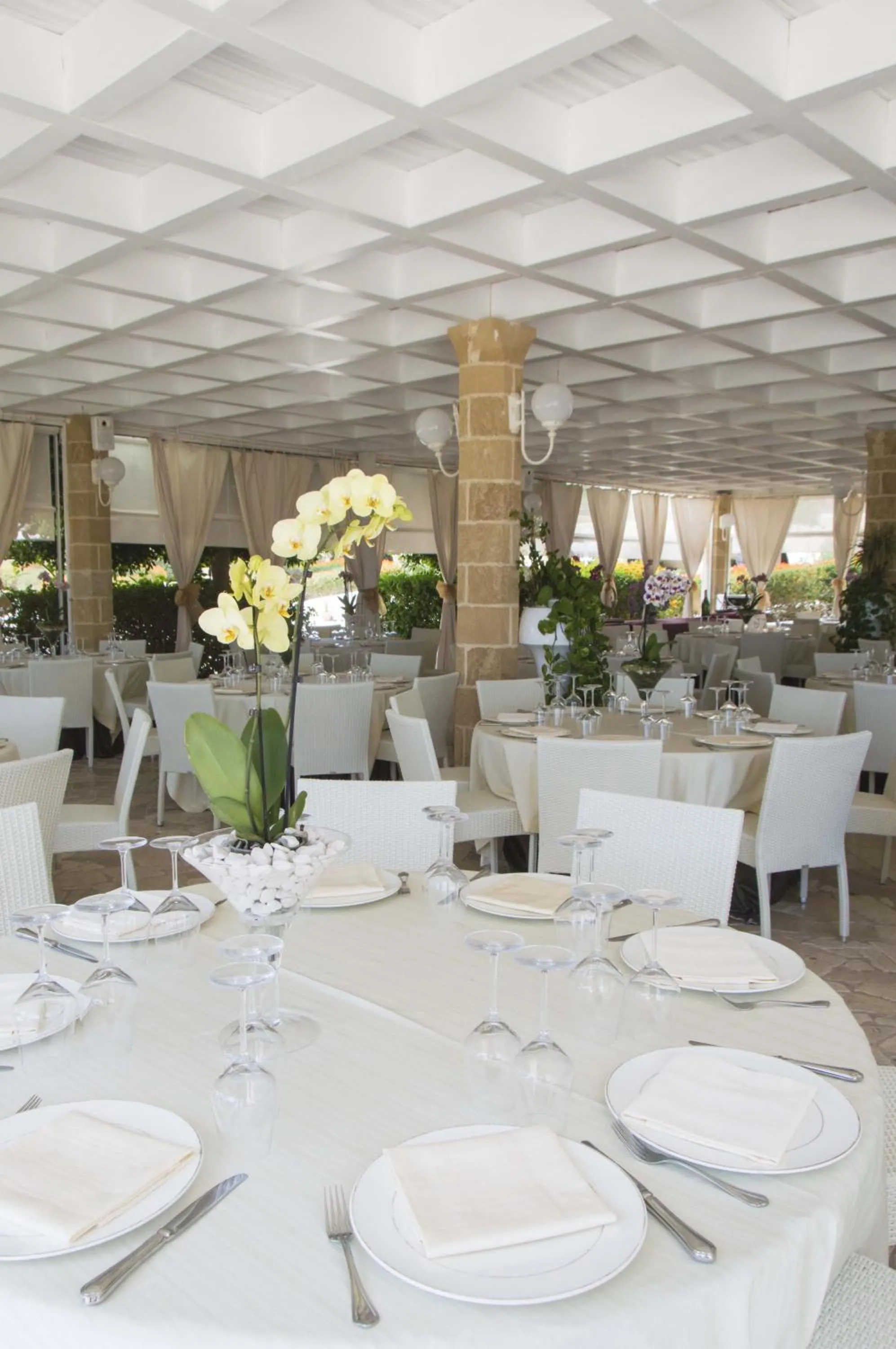 Restaurant/places to eat in Augustus Resort