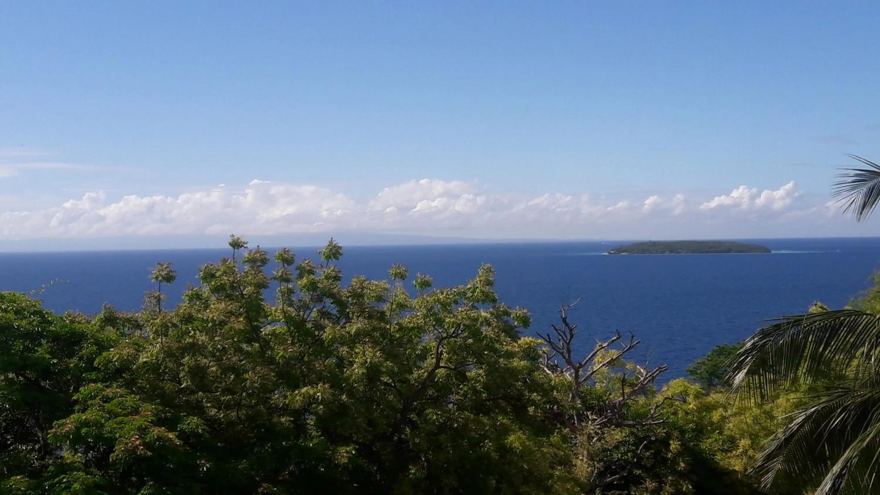 Sea view in D downhill'Place