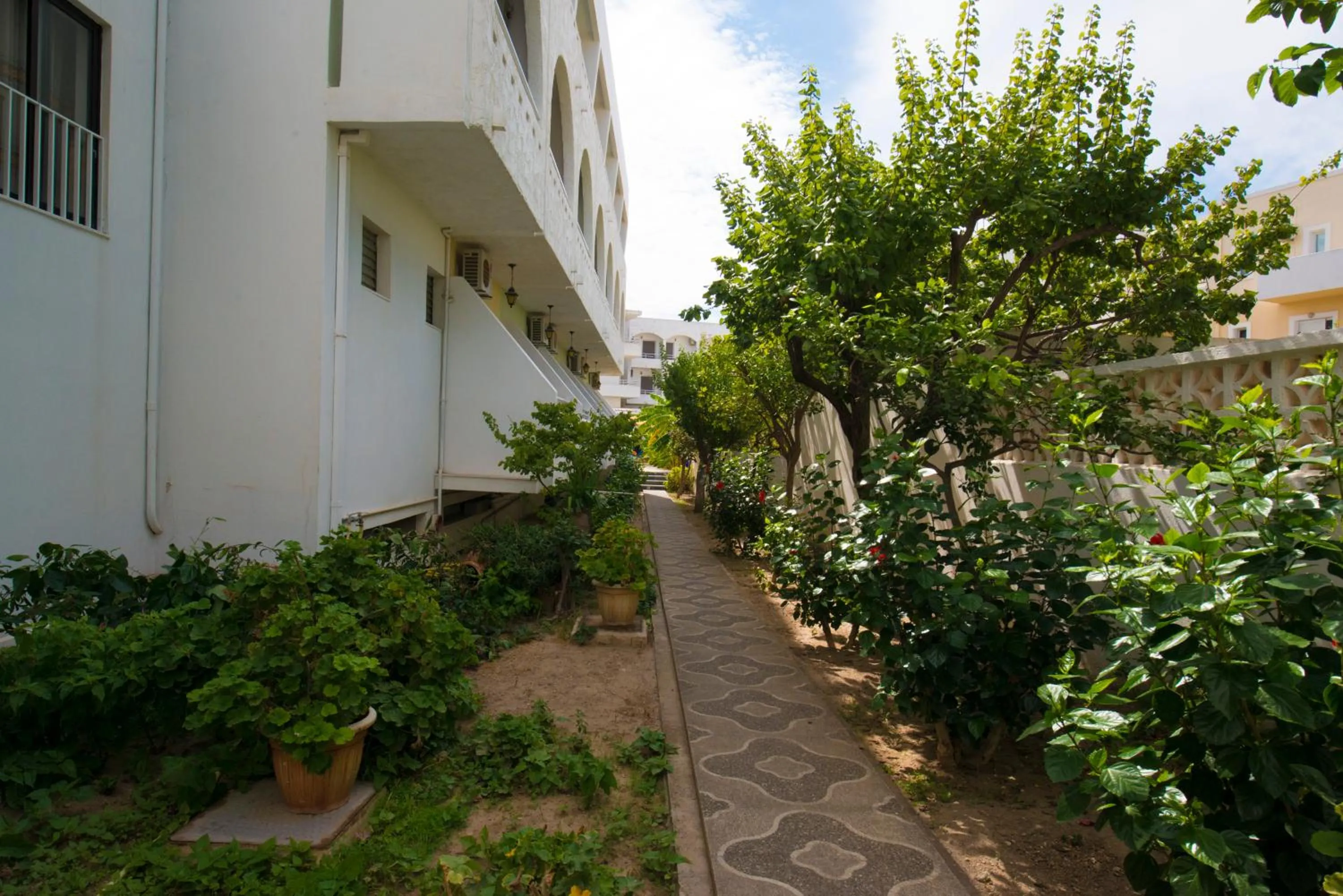 Garden in International Hotel