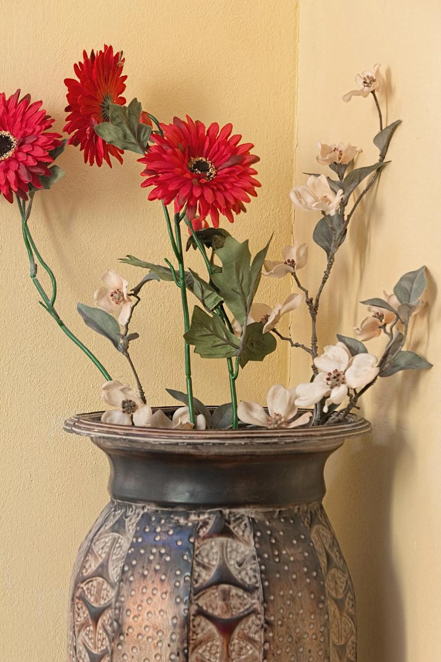 Area and facilities in B&B Doria Valle Maira