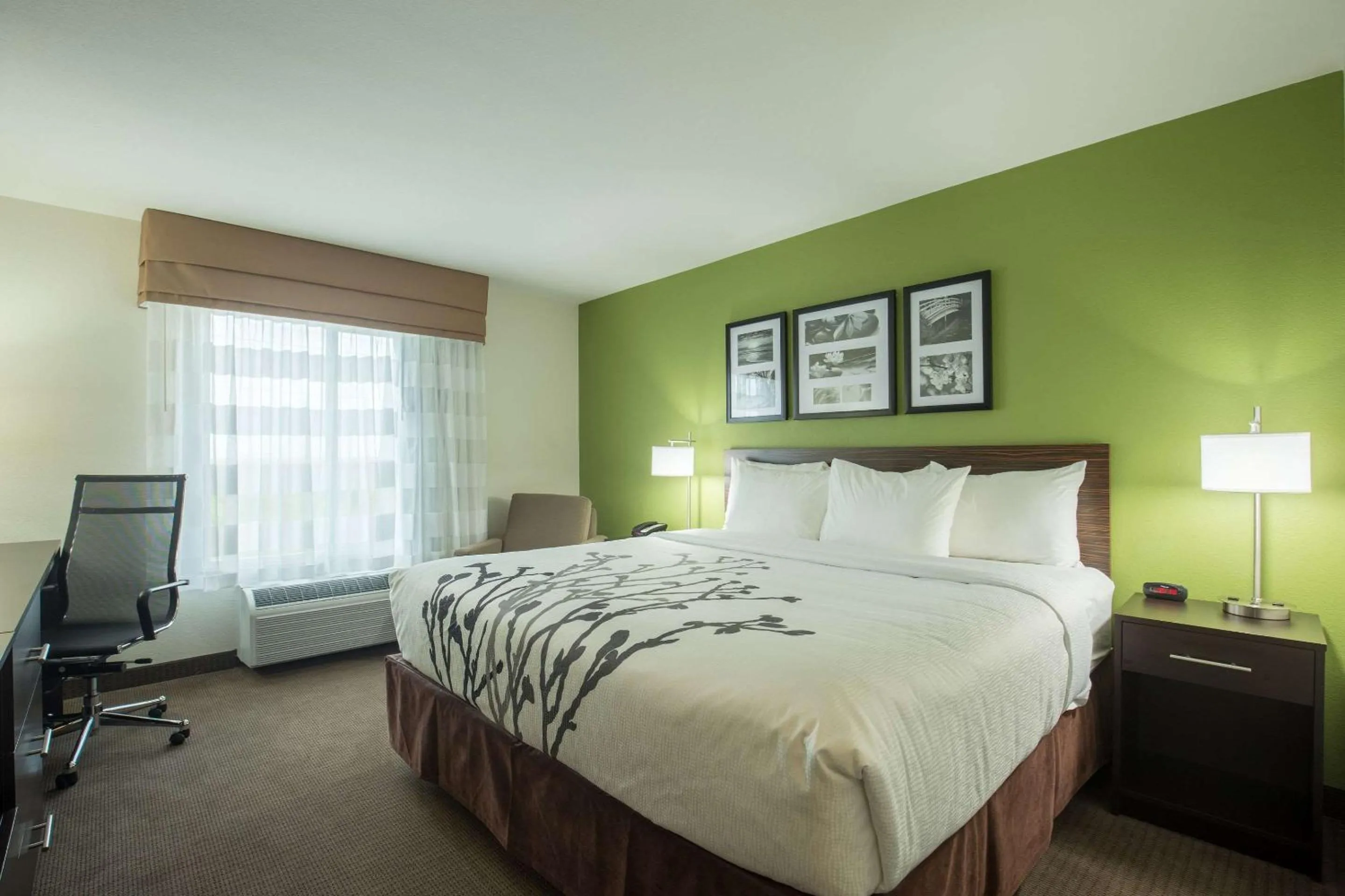 Photo of the whole room, Bed in Sleep Inn & Suites Ingleside - Corpus Christi