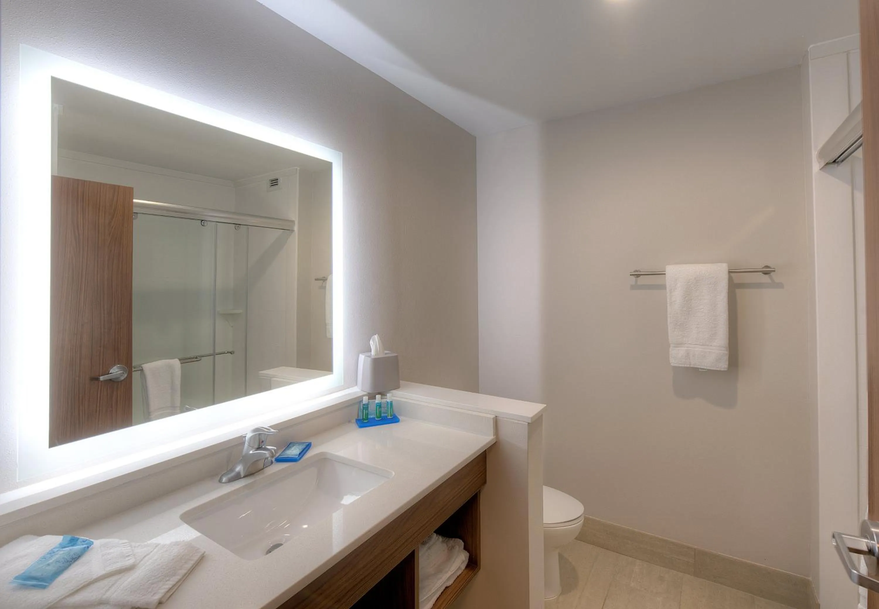 Bathroom in Holiday Inn Express & Suites - Fort Mill by IHG
