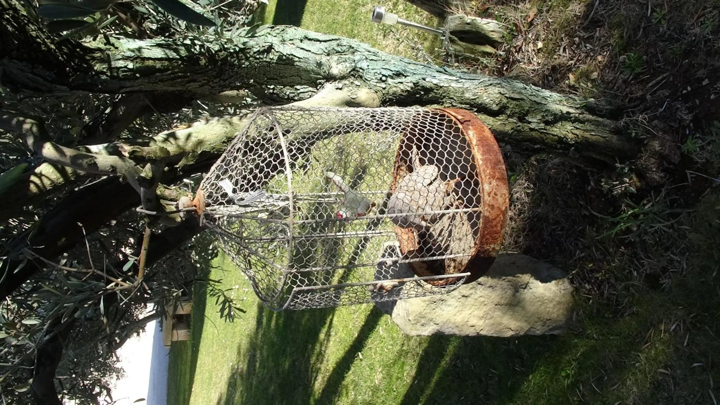 Chambre d'hôte Anais