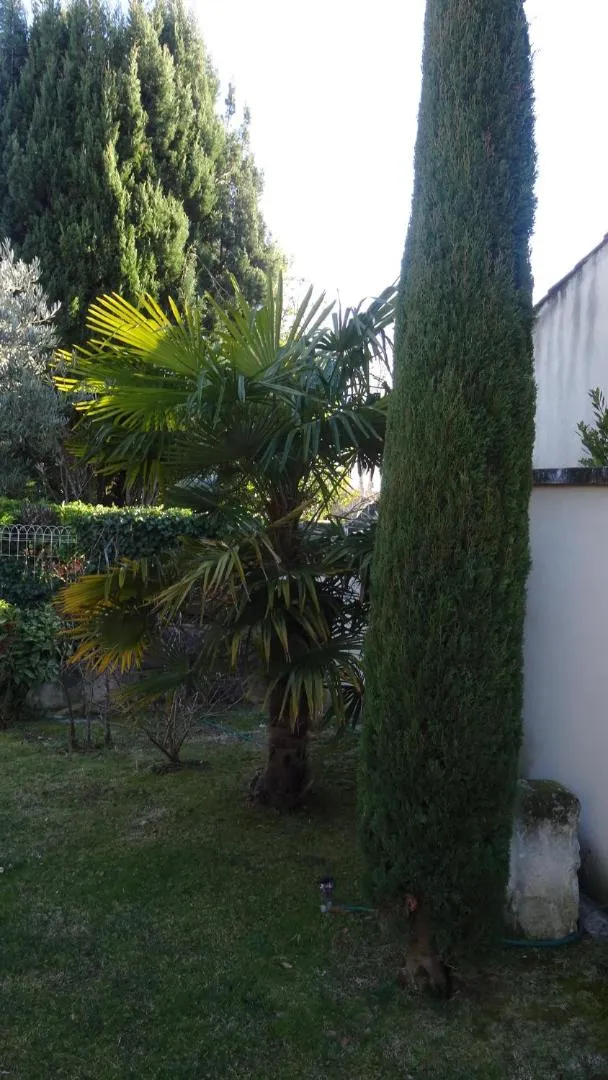 Garden in Chambre d'hôte Anais