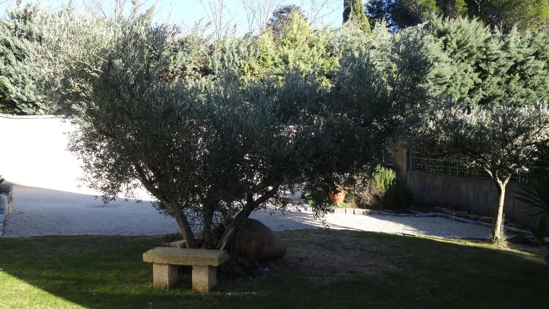 Garden in Chambre d'hôte Anais