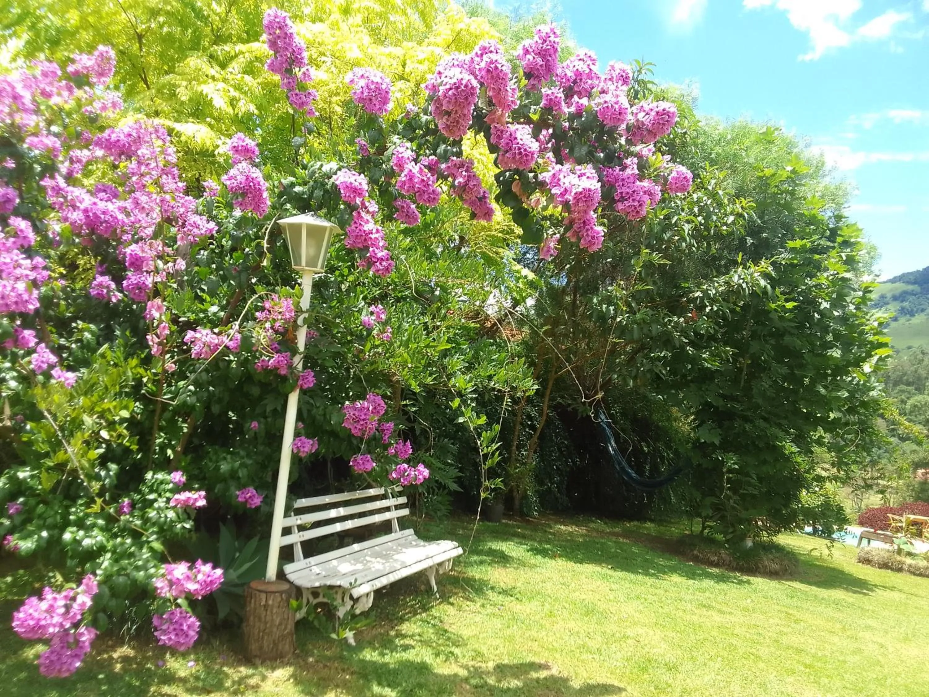 Garden in Pousada Refugio Sol e Brisa