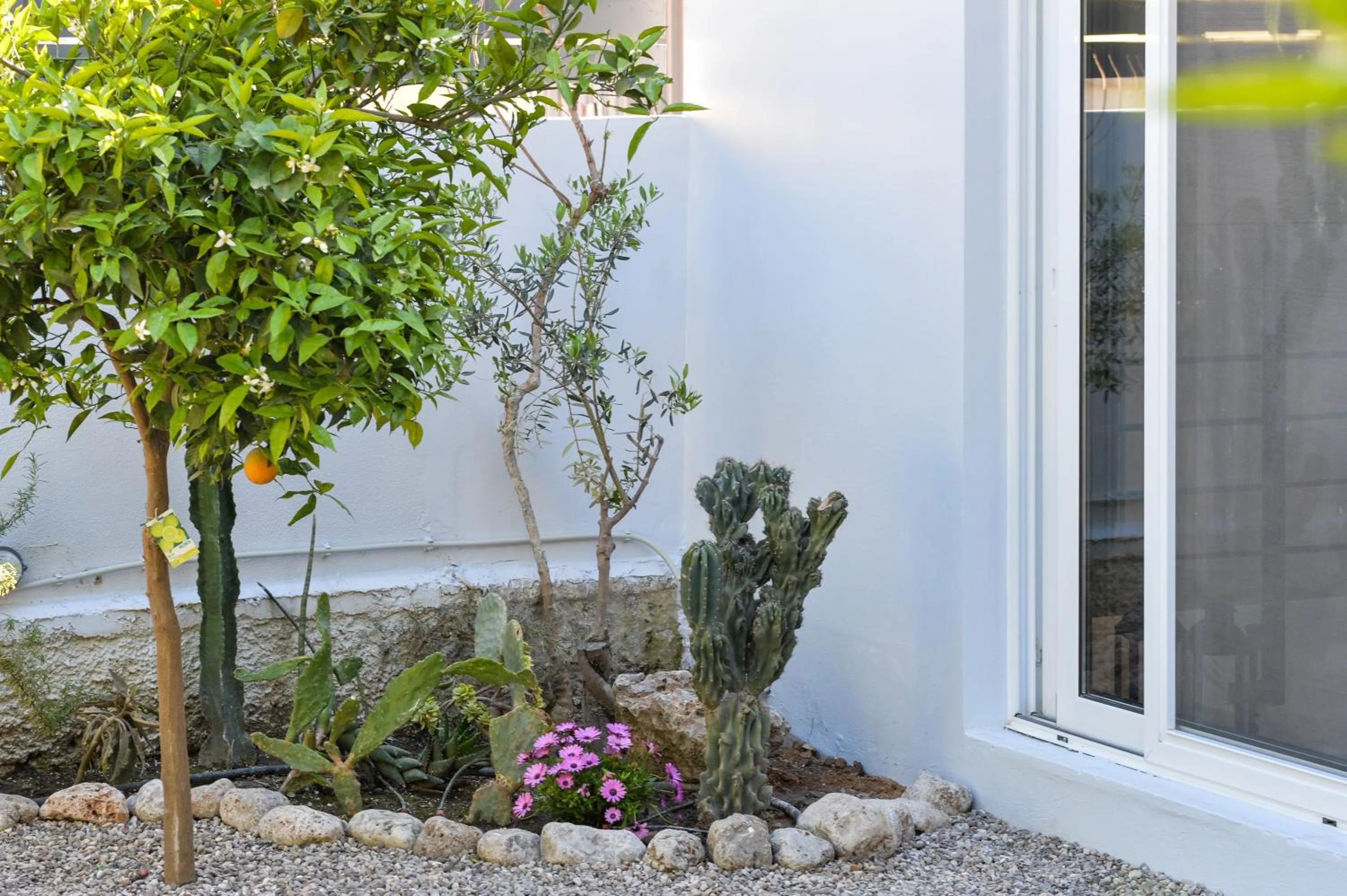 Garden in City Cottage - Kalamata Villas