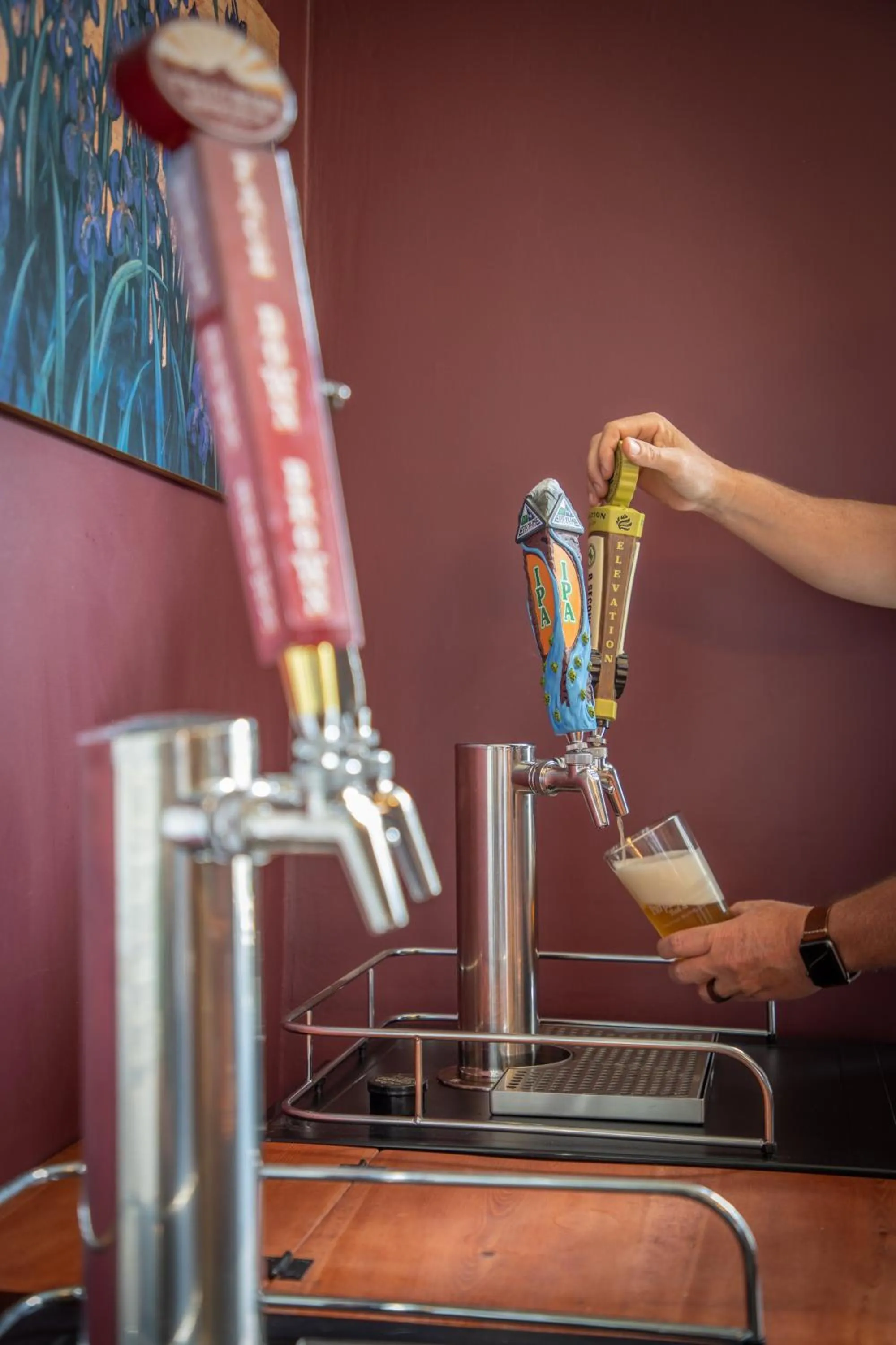 Alcoholic drinks in Purple Mountain Bed & Breakfast & Spa