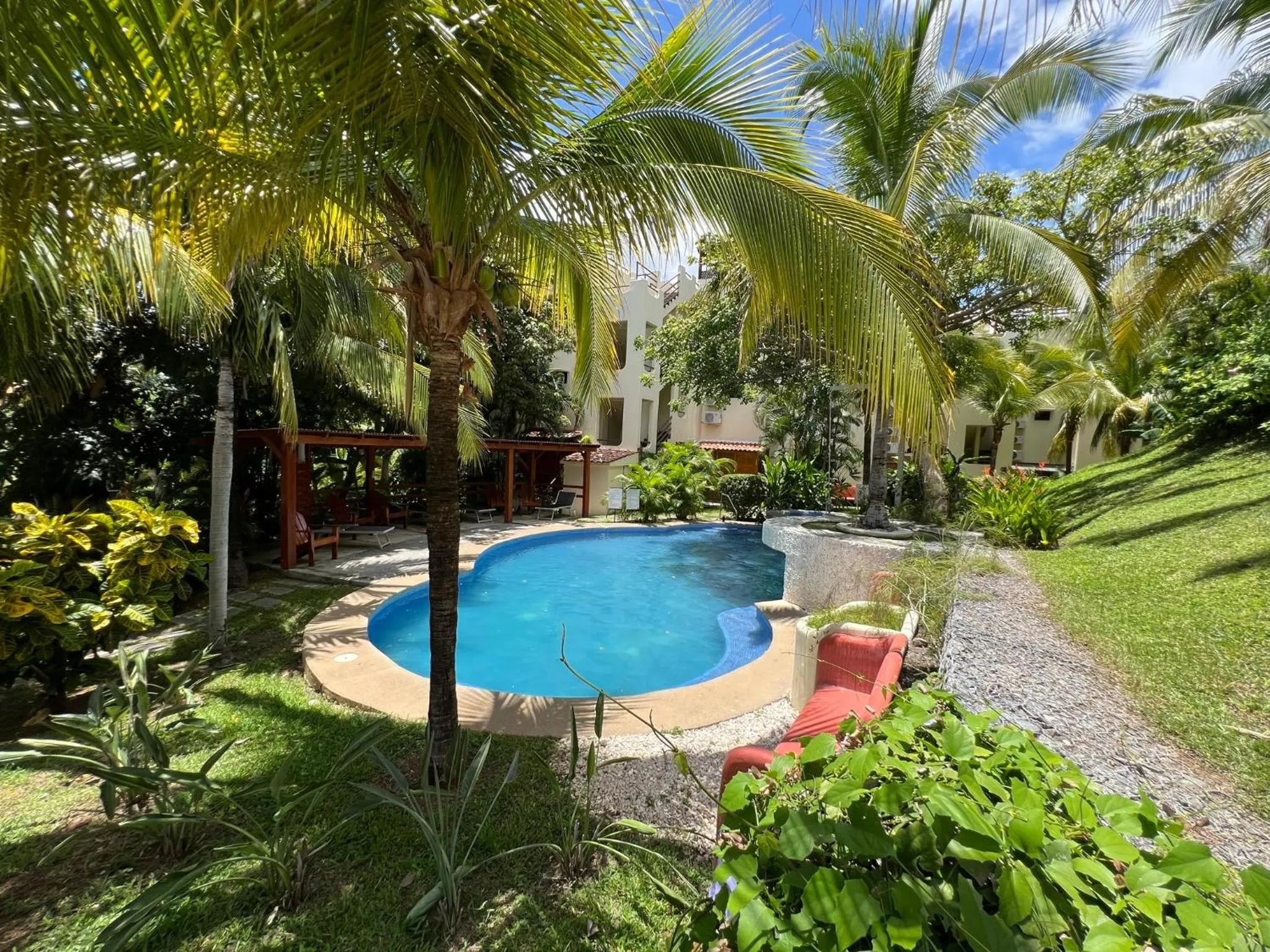 Pool view in Tropical Gardens Suites and Apartments