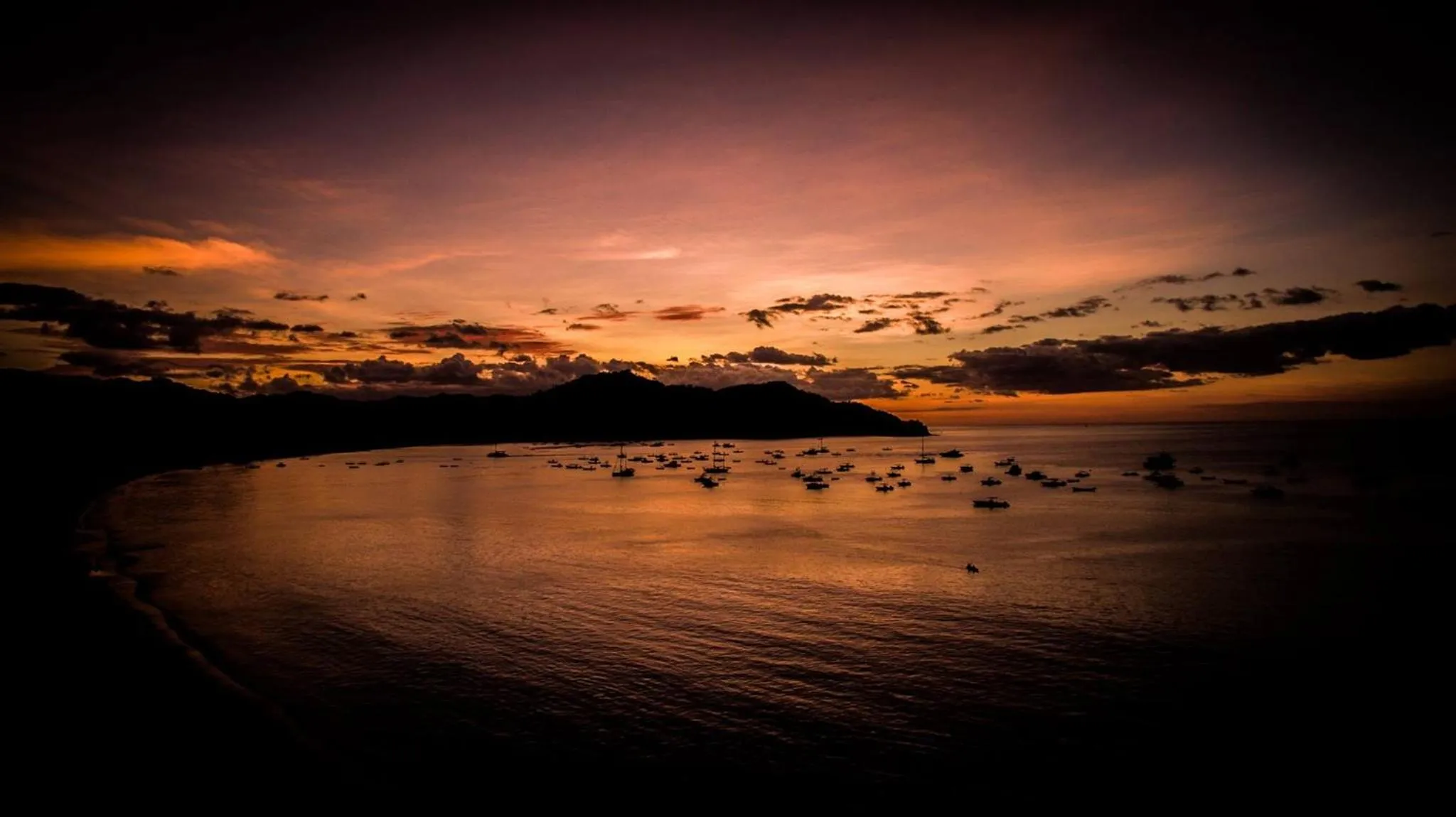 Beach in Tropical Gardens Suites and Apartments